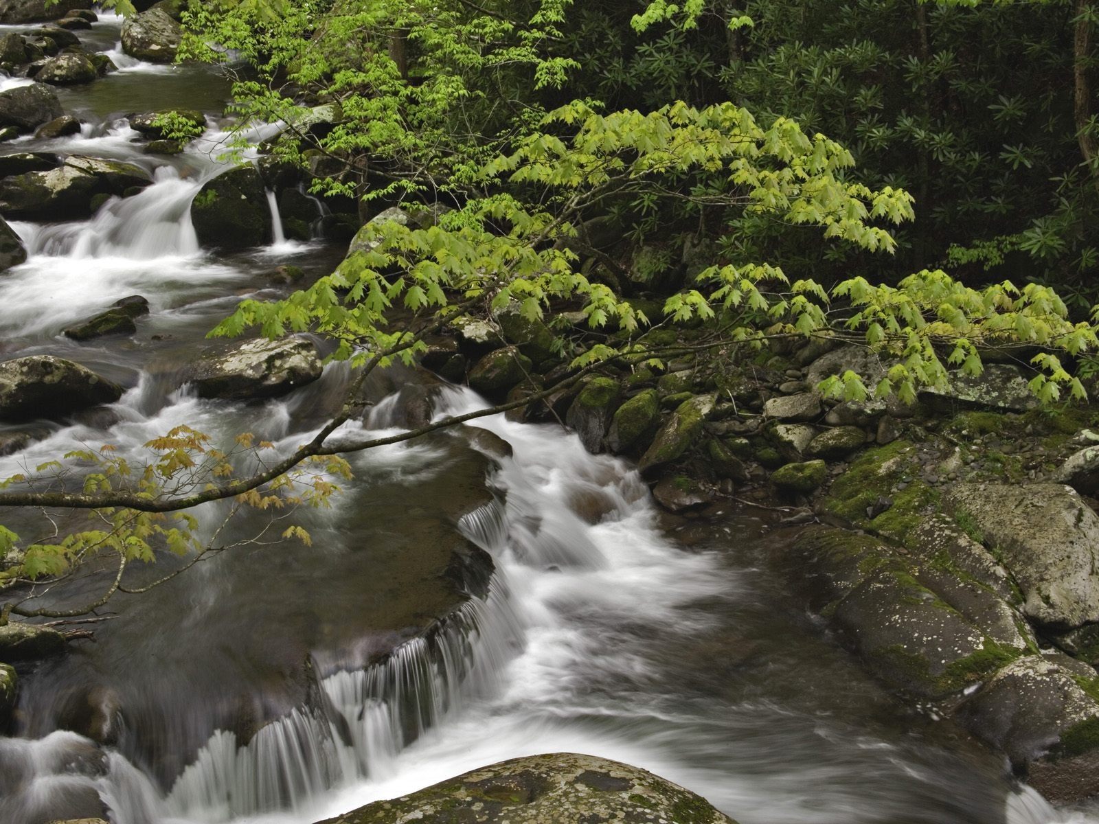 瀑布溪流 壁紙(七) #4 - 1600x1200