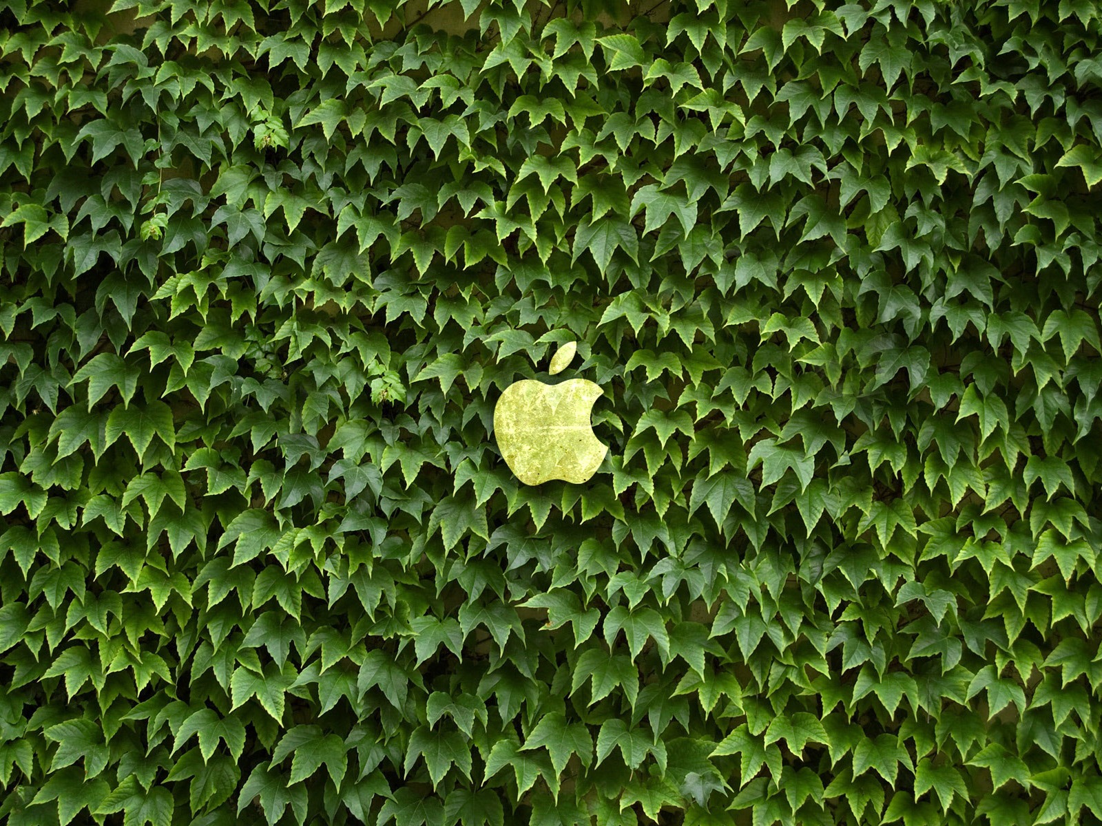 album Apple wallpaper thème (18) #17 - 1600x1200