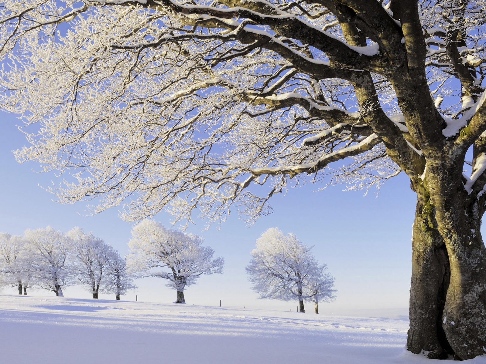 Fond d'écran panoramique de neige (1) #6 - 1600x1200