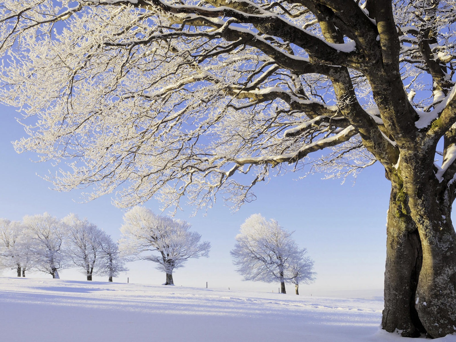 寬屏雪景 壁紙(一) #6 - 1600x1200