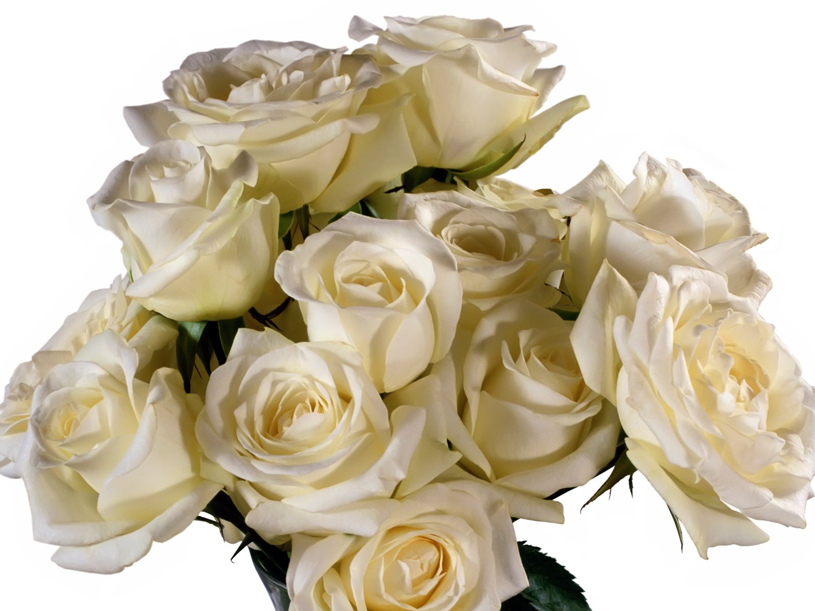 Rose Foto tapety (5) #18 - 1600x1200
