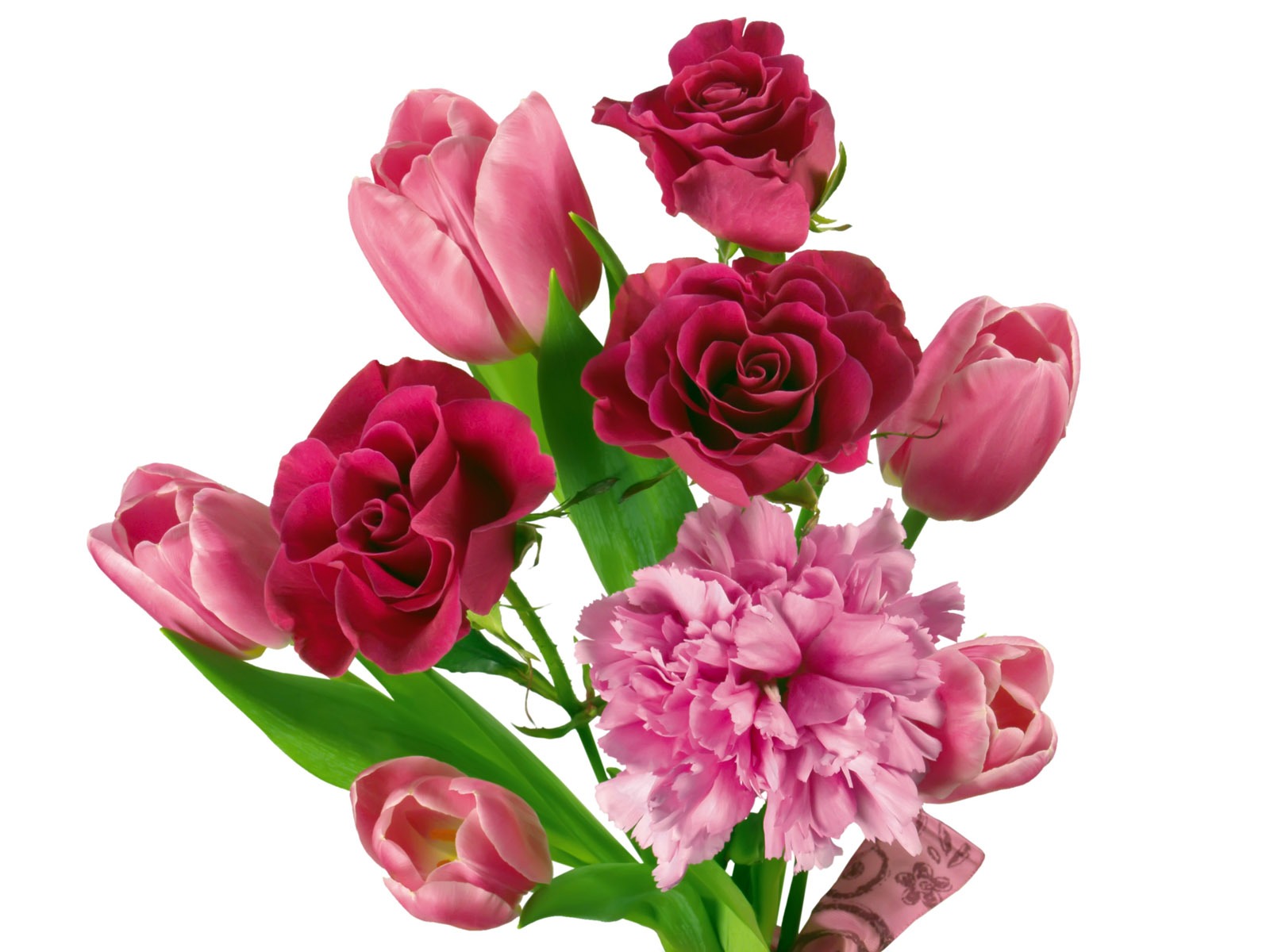 Tulip tapety album (2) #6 - 1600x1200