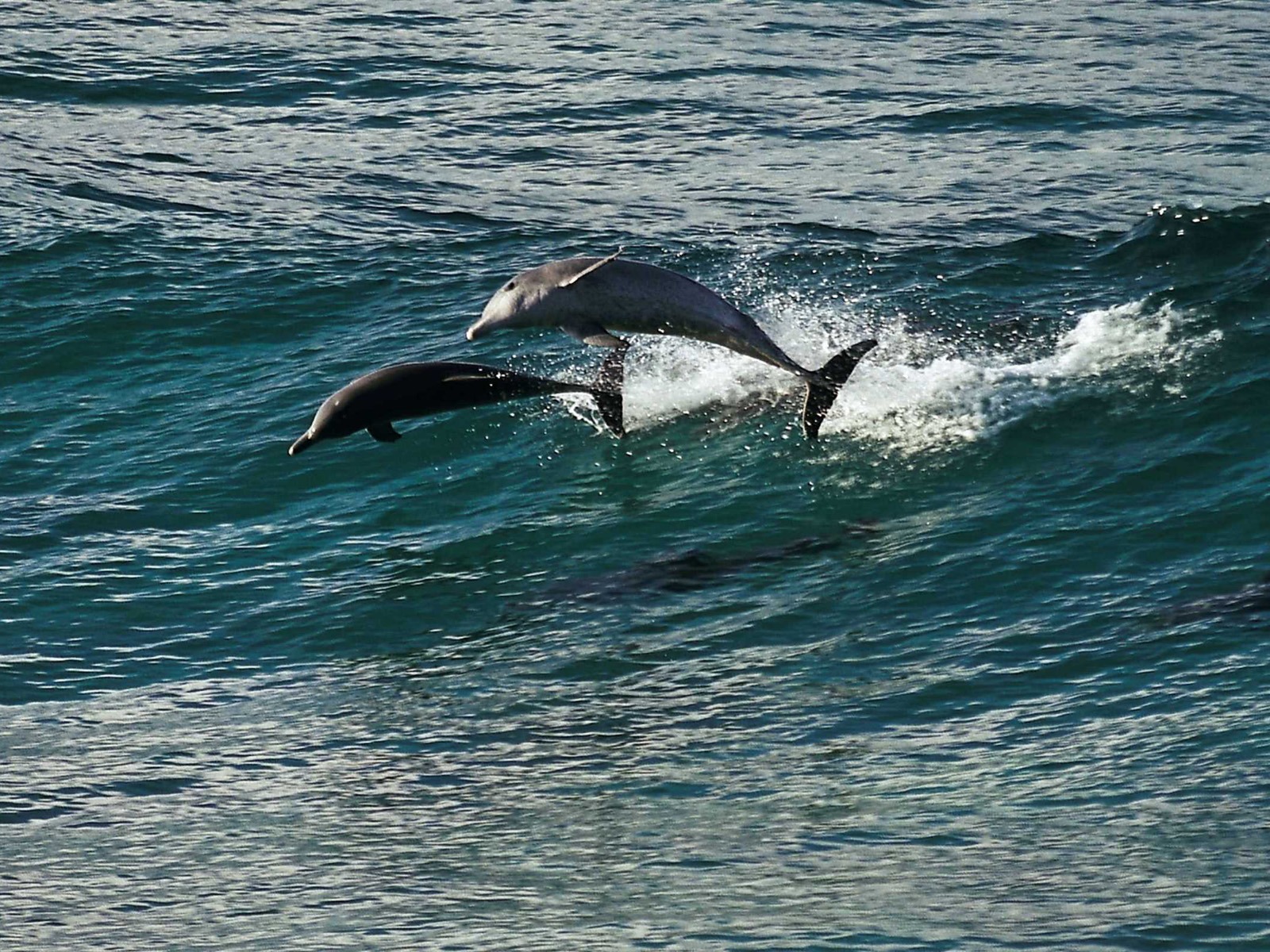 Oceans 海洋 高清壁紙 #5 - 1600x1200