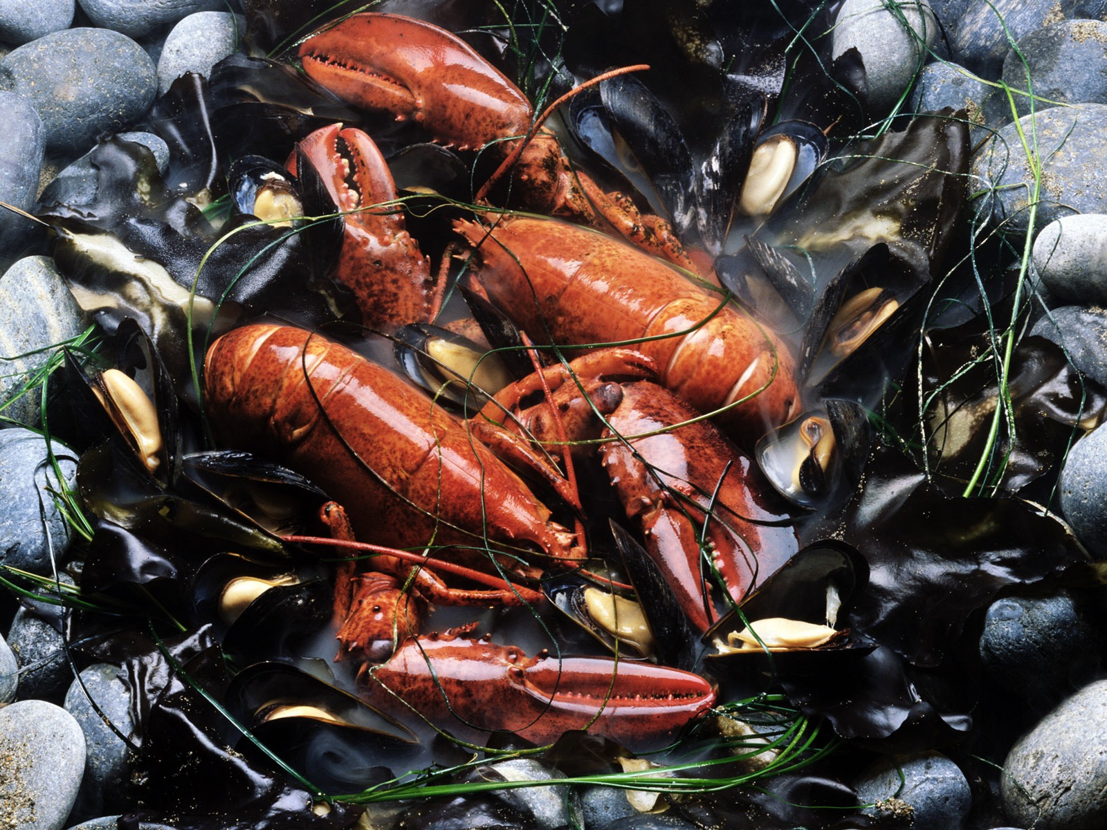 Gourmet dinner wallpaper (7) #19 - 1600x1200