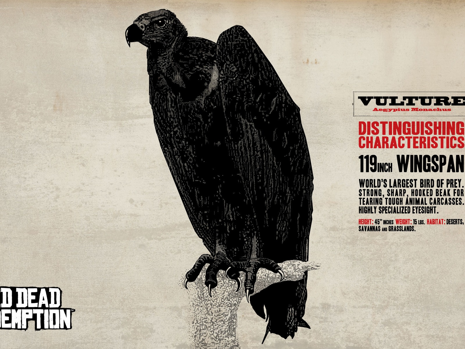 Red Dead Redemption HD wallpaper #4 - 1600x1200
