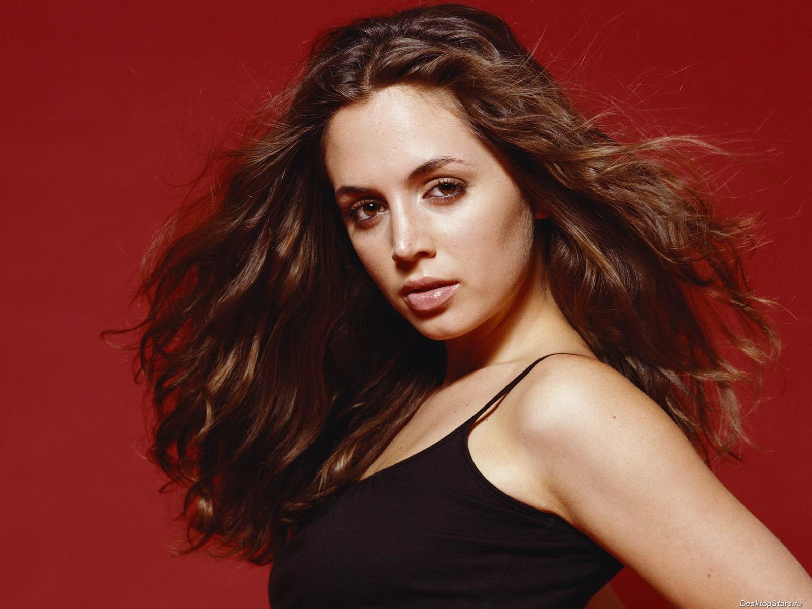 Eliza Dushku krásnou tapetu (2) #22 - 1600x1200