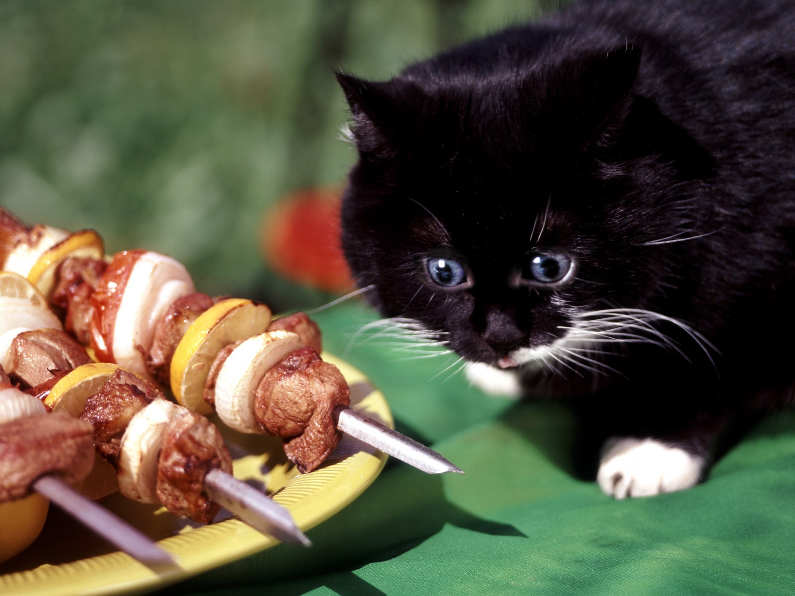 Delicious barbecue tapety (4) #17 - 1600x1200