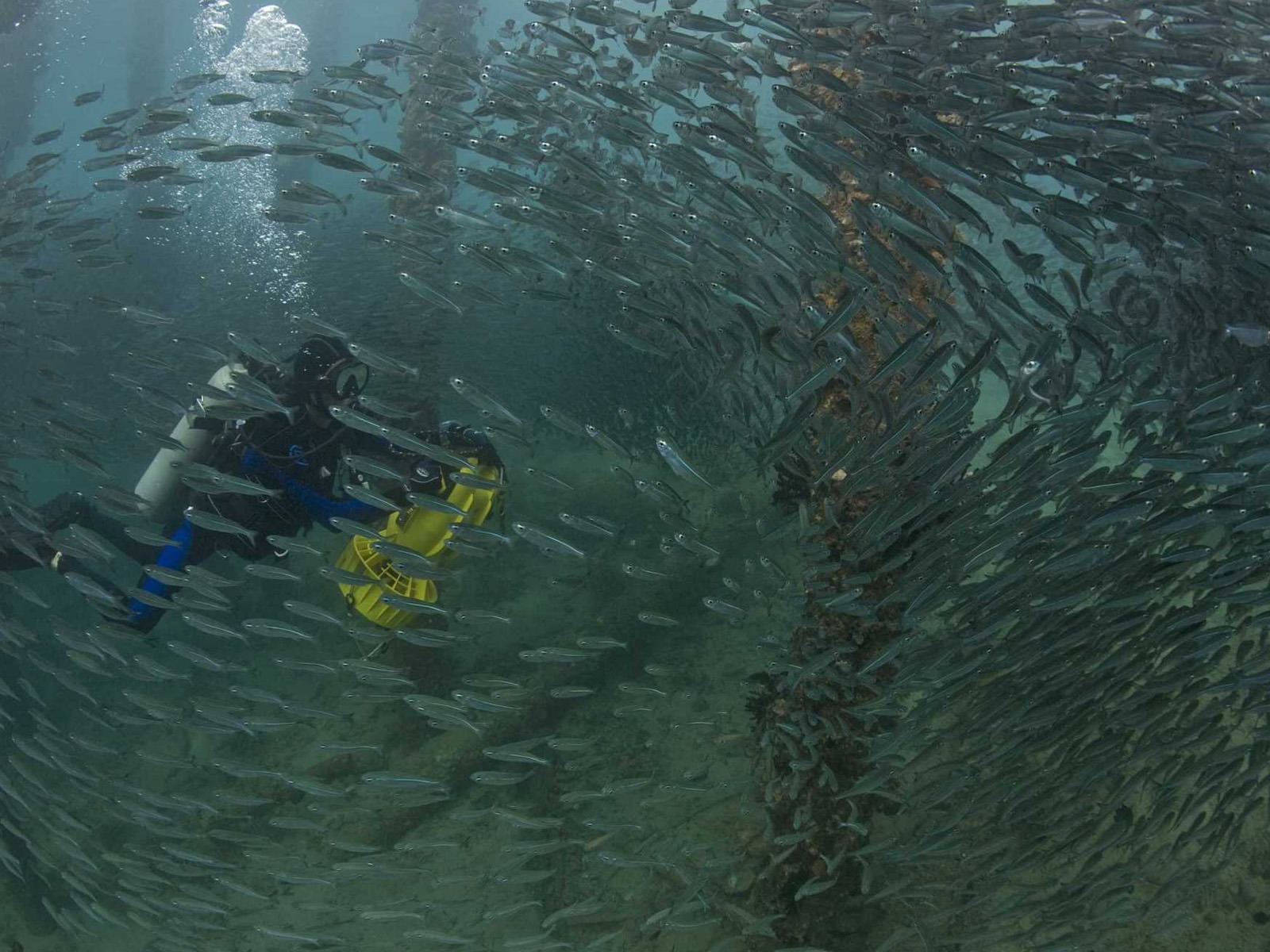 Under the Sea 3D 海底世界3D 高清壁紙 #46 - 1600x1200