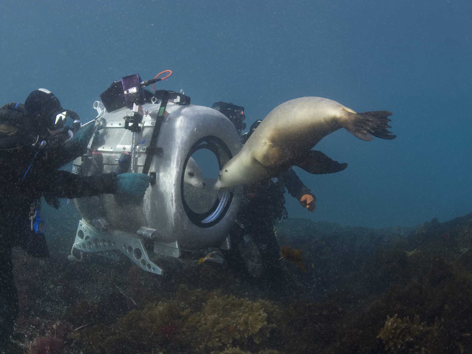 Under the Sea 3D 海底世界3D 高清壁紙 #3 - 1600x1200