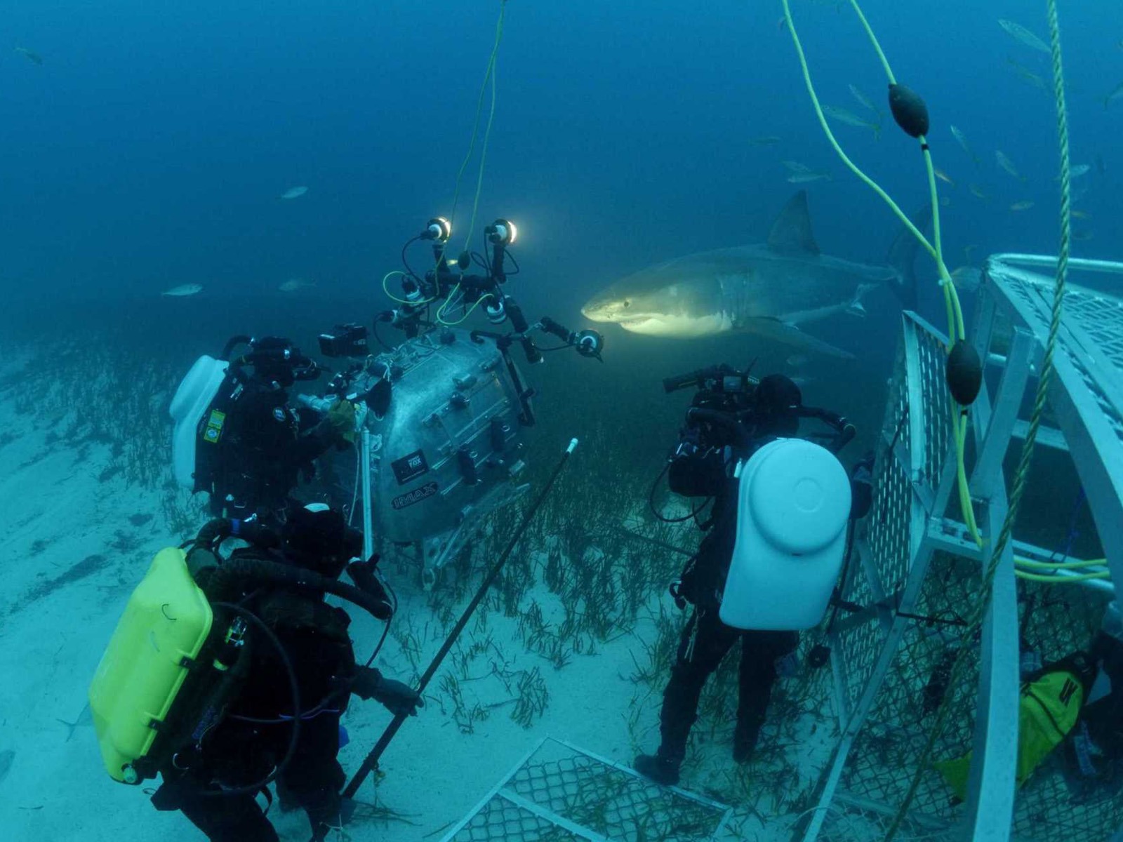 Under the Sea 3D 海底世界3D 高清壁紙 #37 - 1600x1200