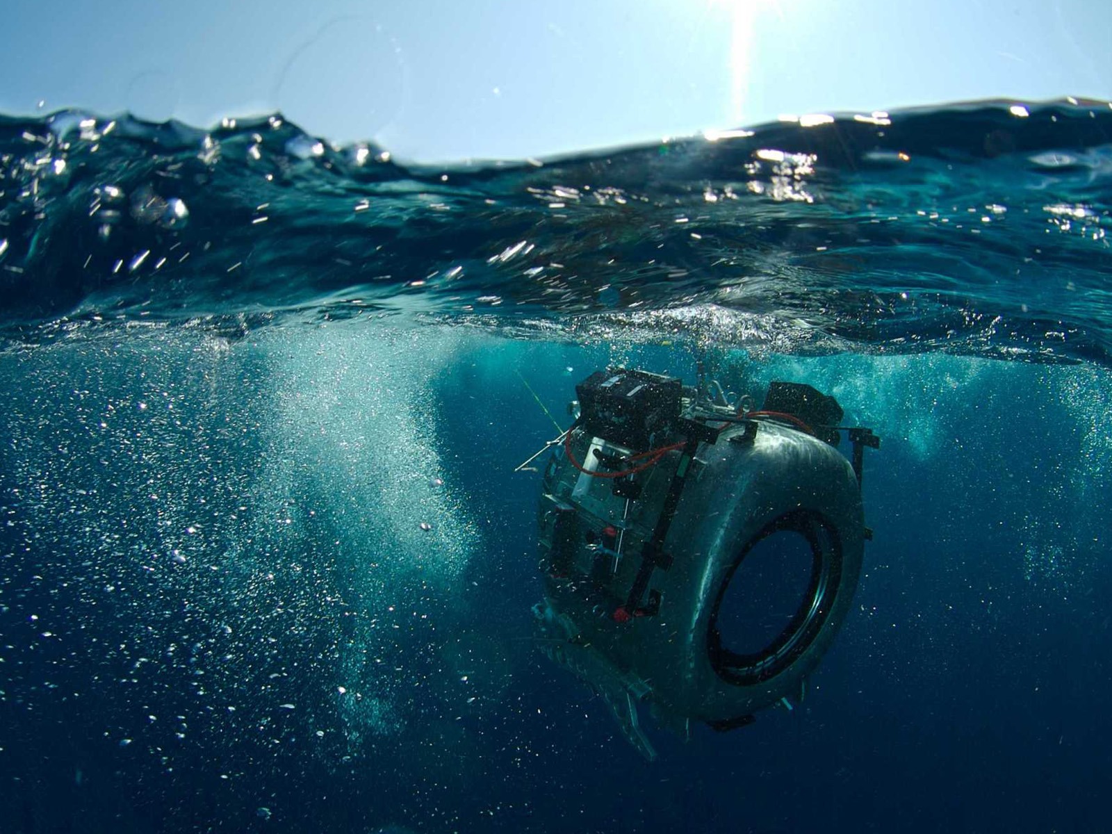 Under the Sea 3D 海底世界3D 高清壁紙 #38 - 1600x1200