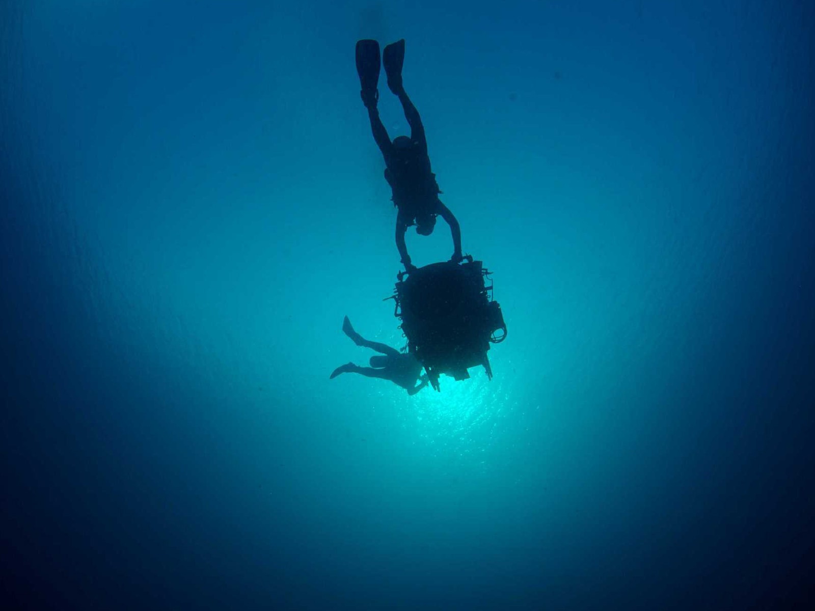 Under the Sea 3D 海底世界3D 高清壁紙 #39 - 1600x1200