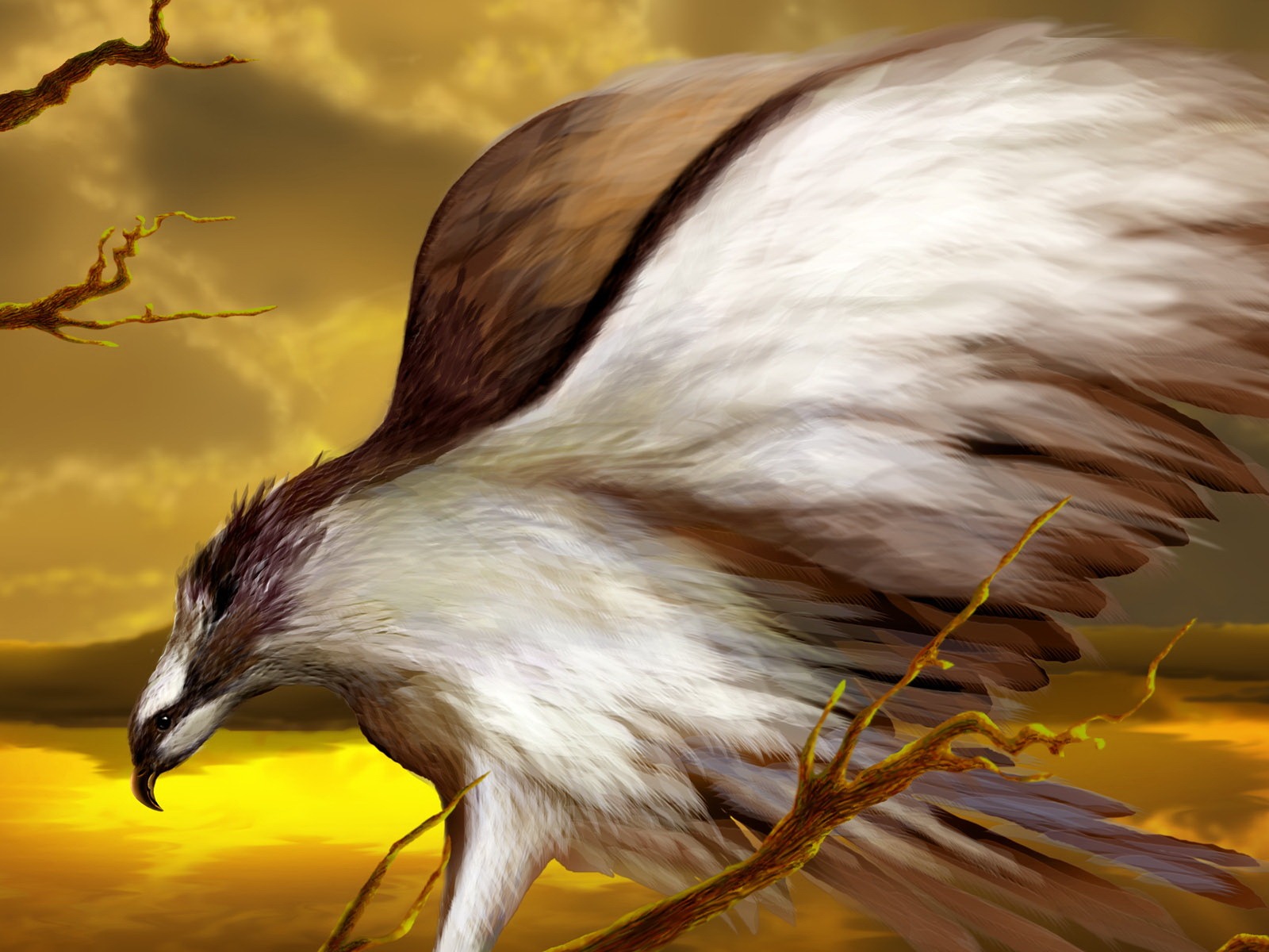 動物寬屏壁紙合集 (20) #4 - 1600x1200