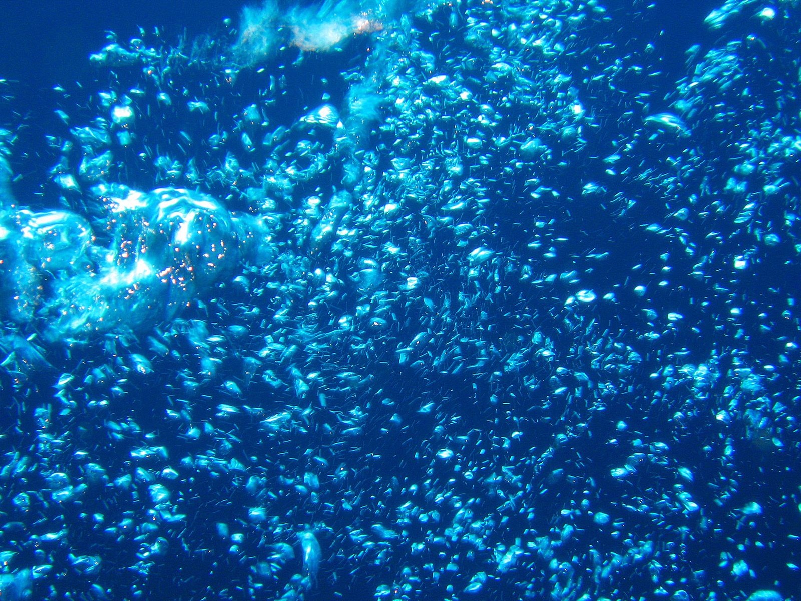 Fun Underwater World (4) #23 - 1600x1200
