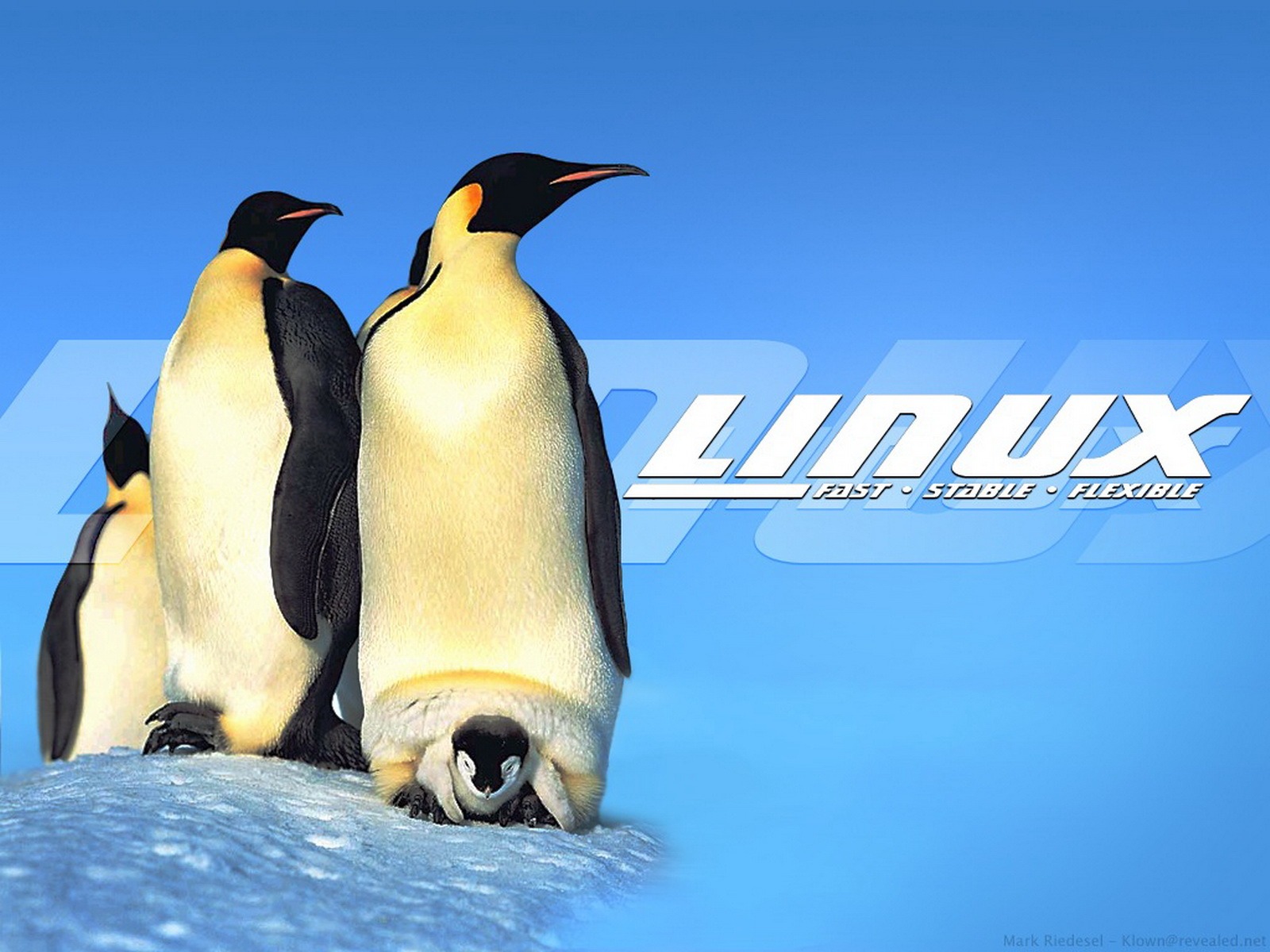 Fond d'écran Linux (1) #20 - 1600x1200