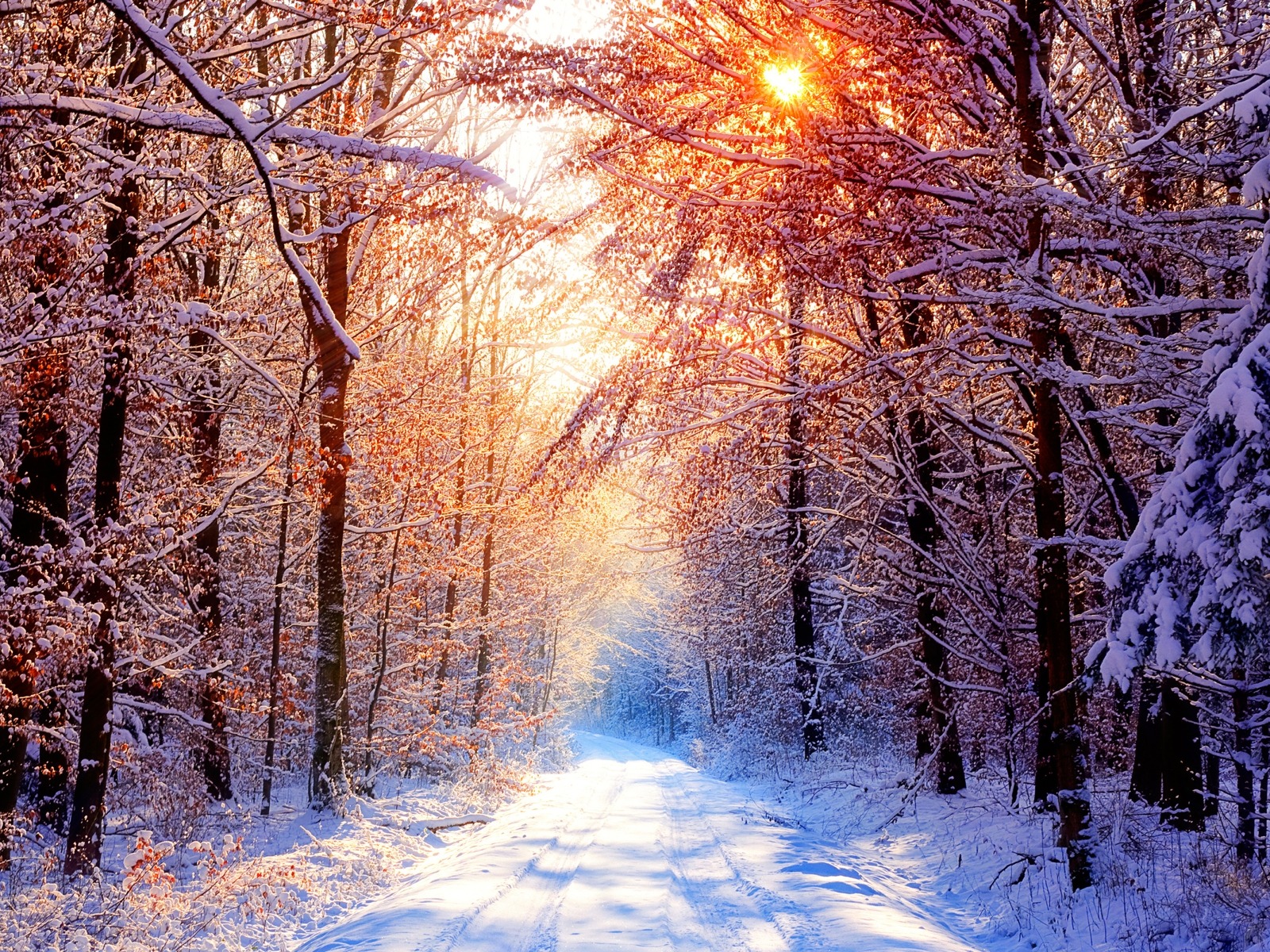 Scenery Collection Wallpapers (45) #8 - 1600x1200