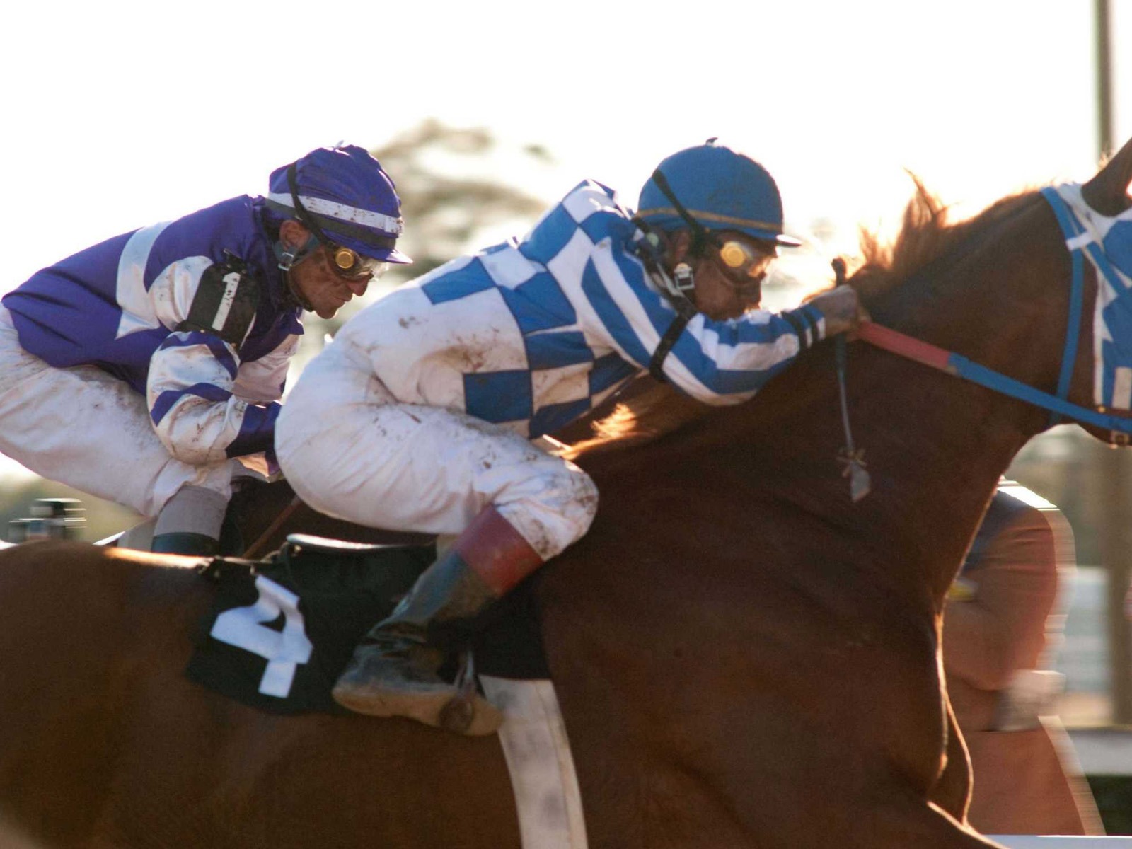 Secretariat HD wallpaper (1) #26 - 1600x1200