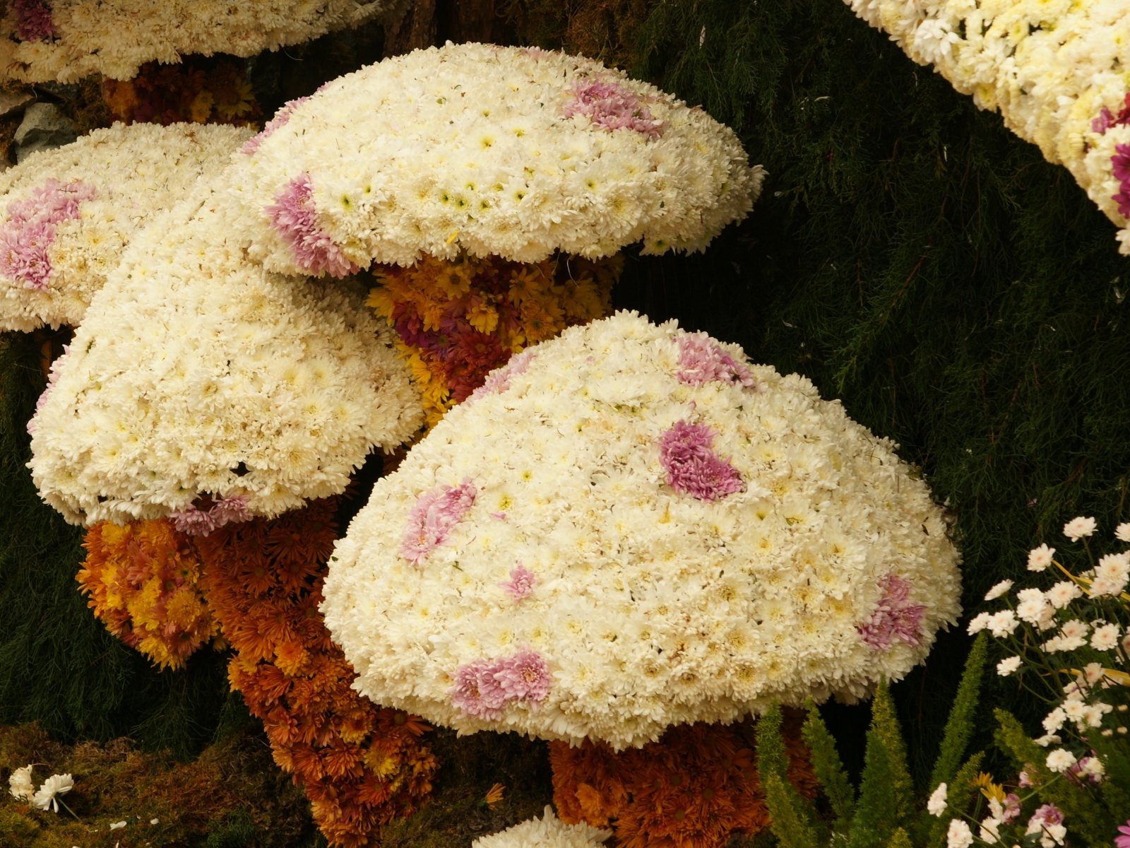 Bunte Blumen schmücken Tapete (1) #6 - 1600x1200