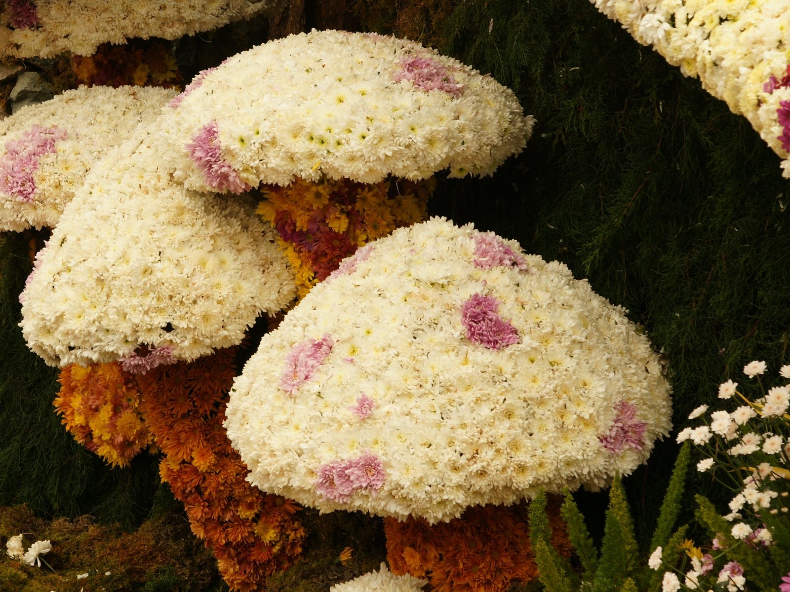 七彩花朵裝飾 壁紙(一) #6 - 1600x1200