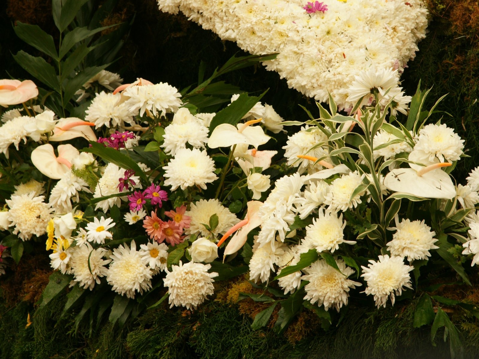 七彩花朵裝飾 壁紙(一) #7 - 1600x1200