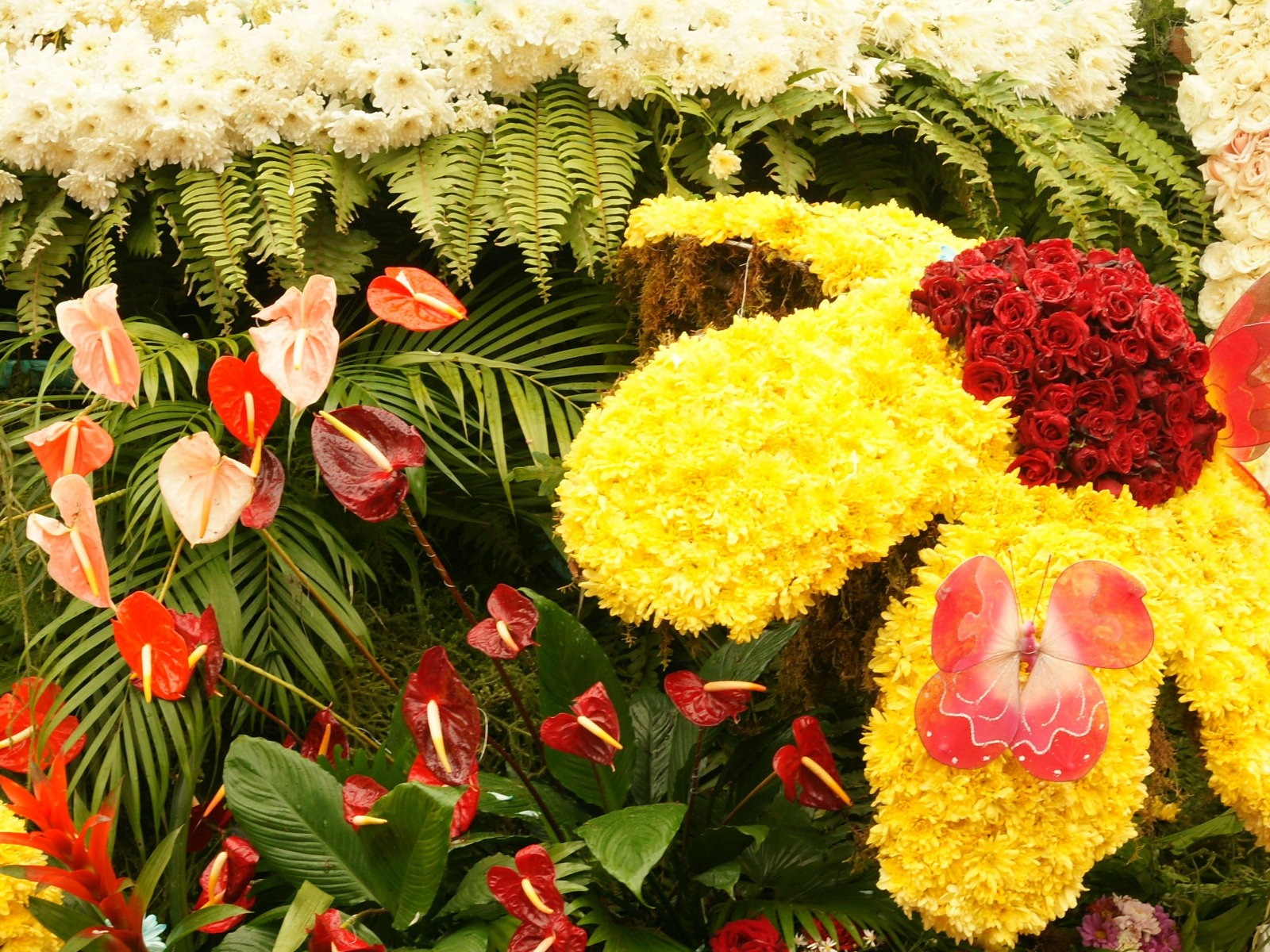 fleurs colorées décorent fond d'écran (1) #10 - 1600x1200