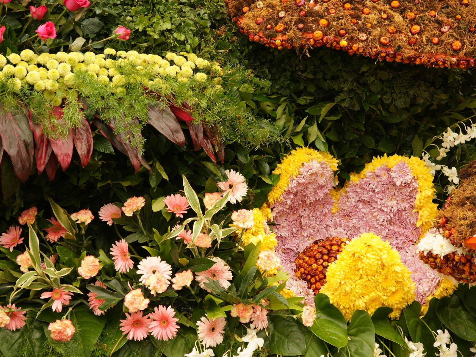fleurs colorées décorent fond d'écran (1) #13 - 1600x1200