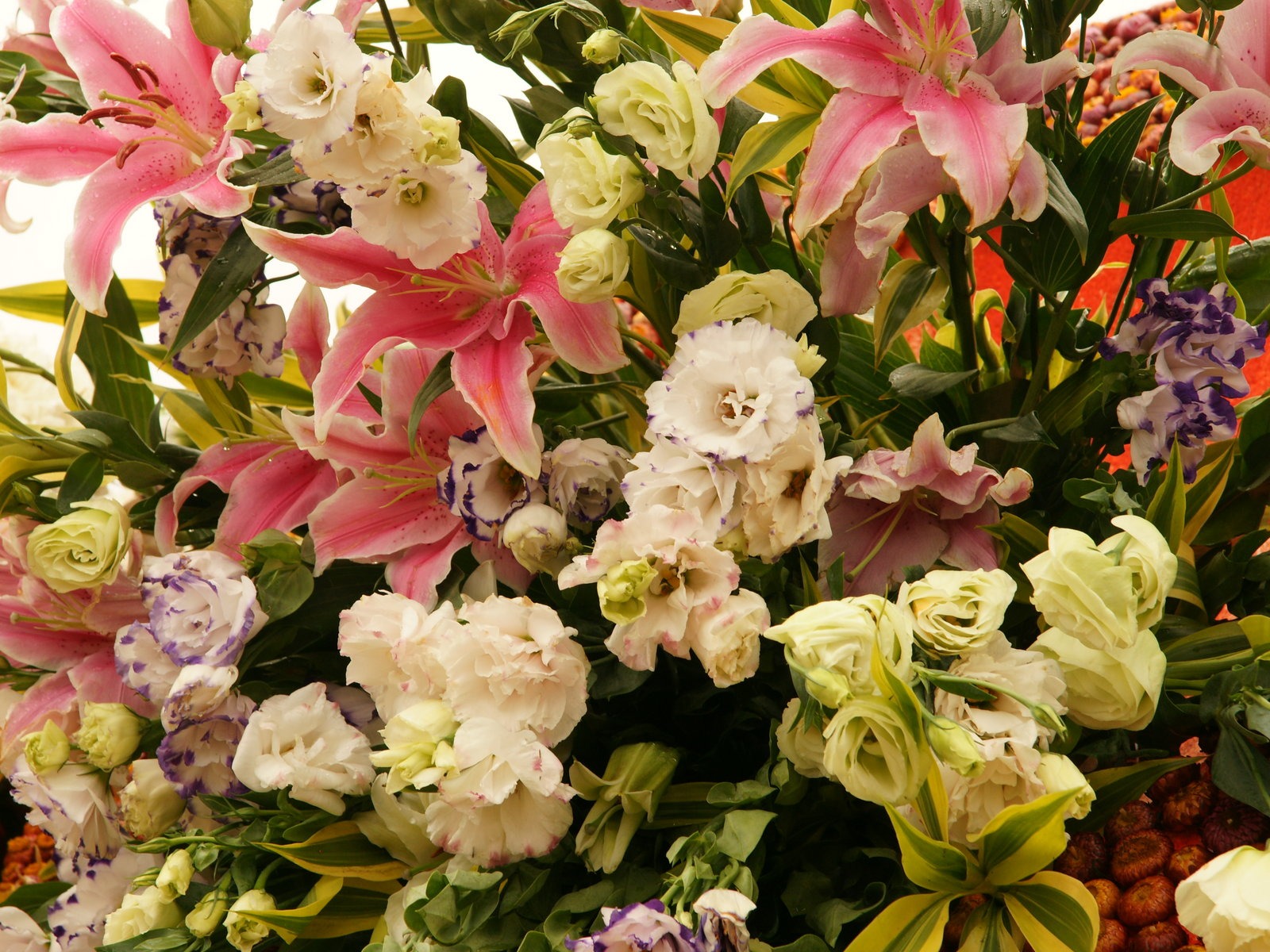 fleurs colorées décorent fond d'écran (1) #20 - 1600x1200