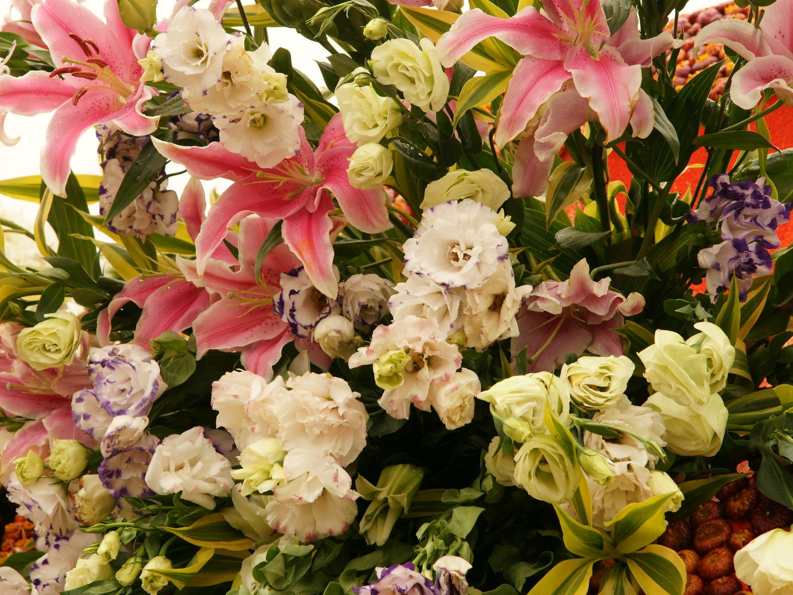 七彩花朵裝飾 壁紙(一) #20 - 1600x1200