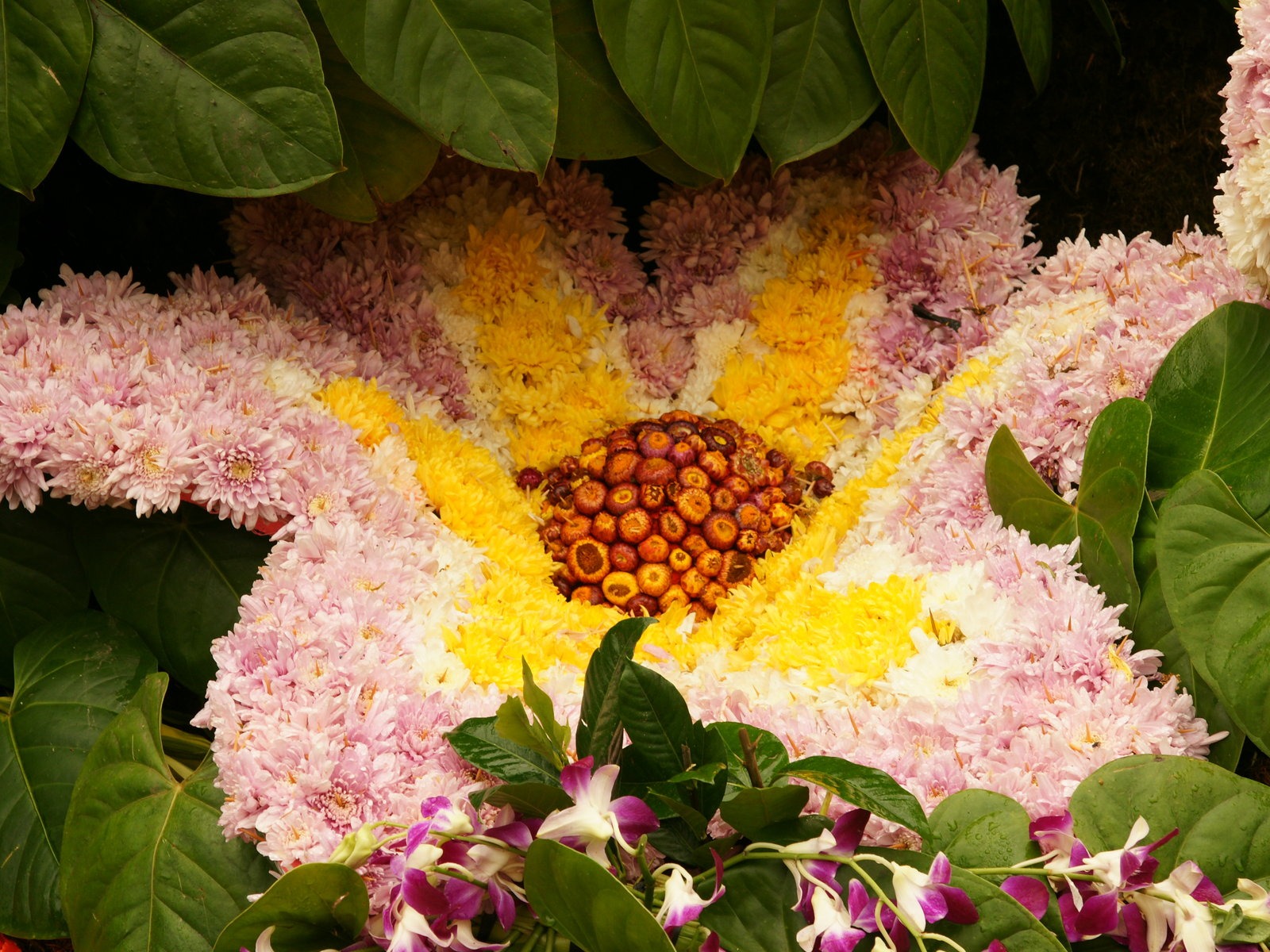 fleurs colorées décorent fond d'écran (2) #3 - 1600x1200