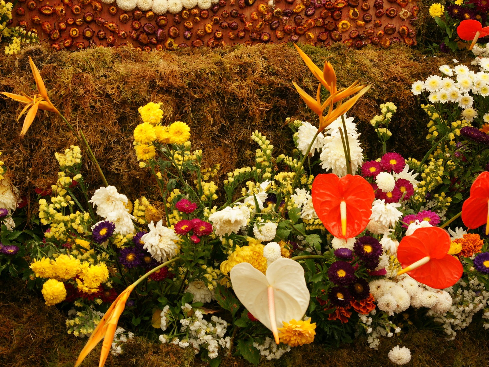 fleurs colorées décorent fond d'écran (2) #18 - 1600x1200