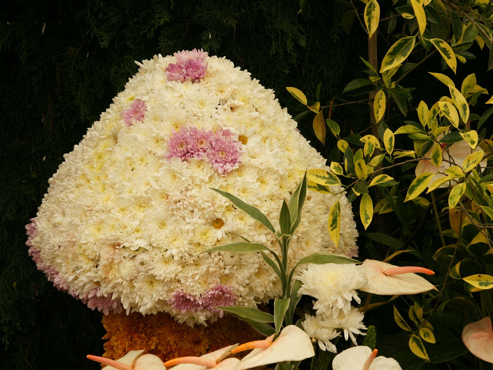 七彩花朵裝飾 壁紙(三) #3 - 1600x1200