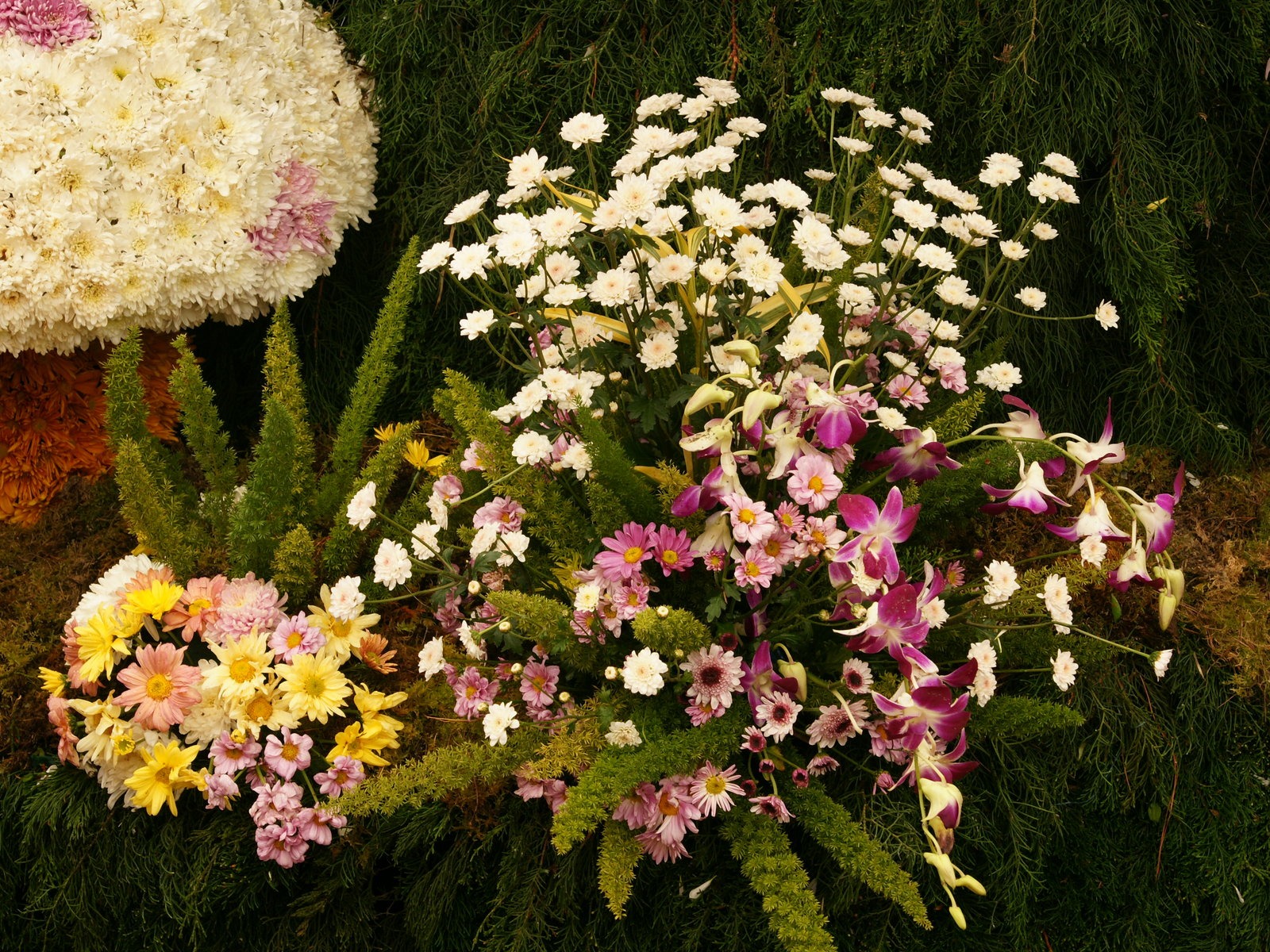 七彩花朵裝飾 壁紙(三) #4 - 1600x1200