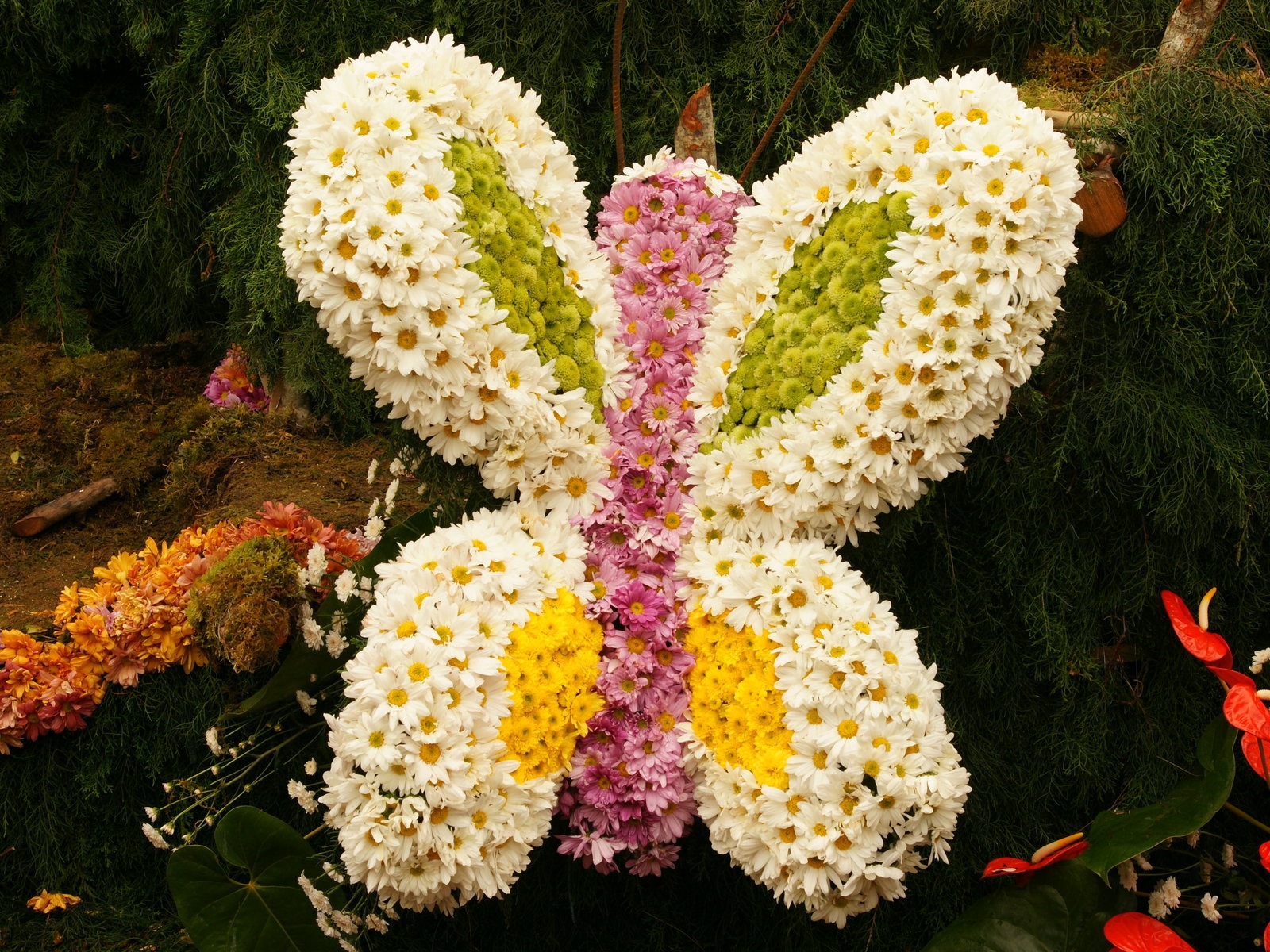 七彩花朵裝飾 壁紙(三) #15 - 1600x1200