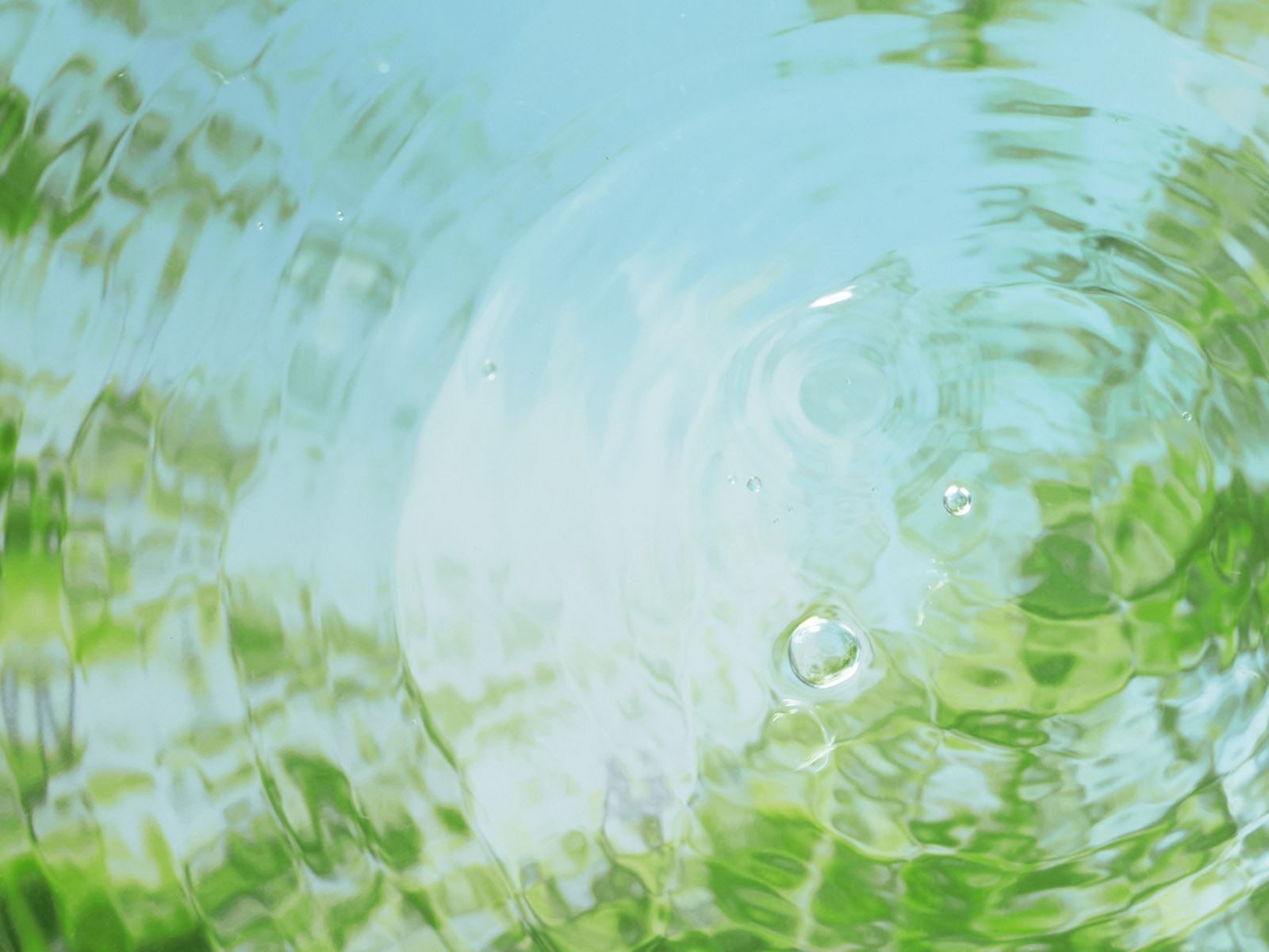 綠色與自然 壁紙(二) #5 - 1600x1200