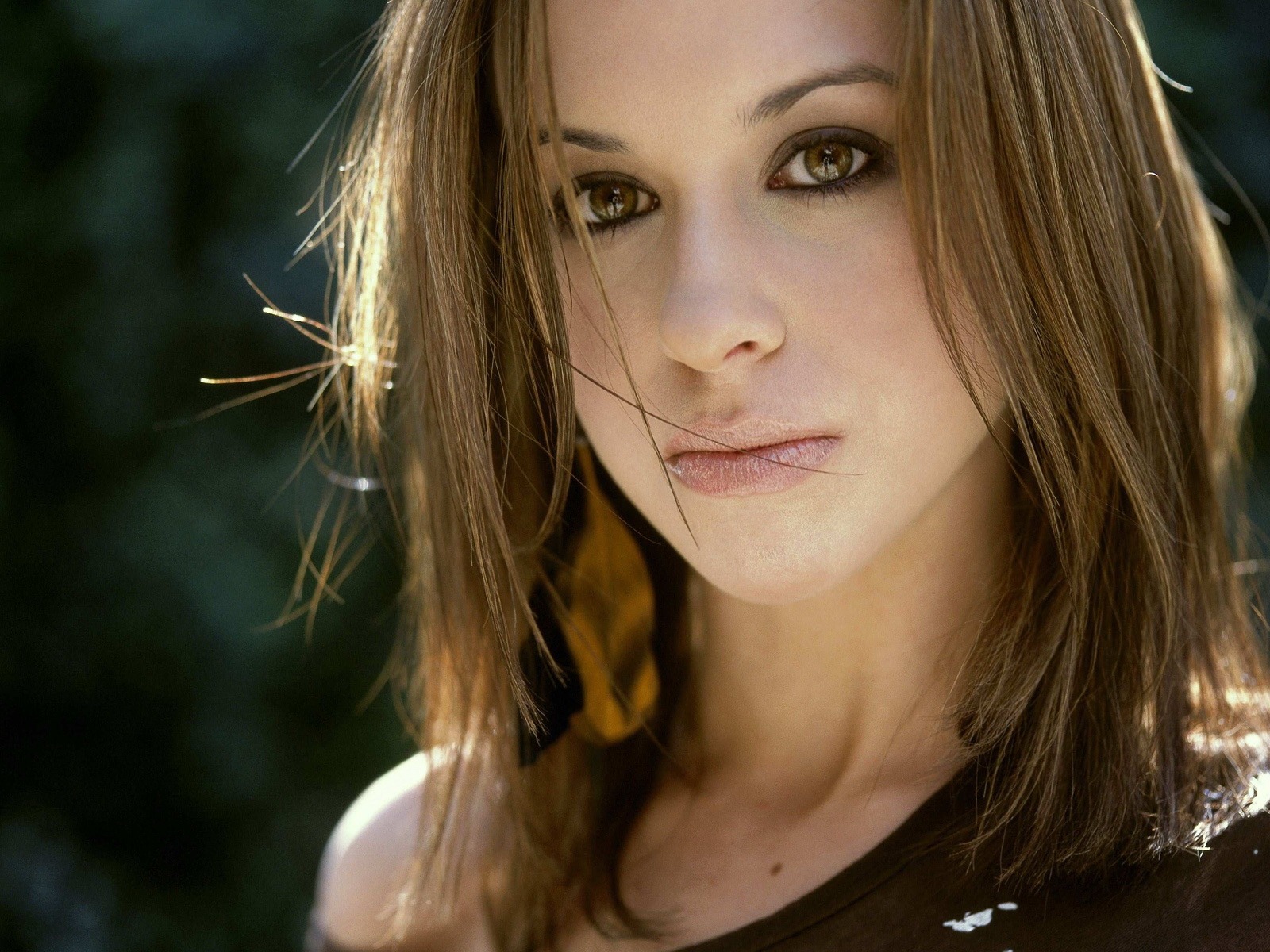 Lacey Chabert 萊西·沙伯特 美女壁紙 #1 - 1600x1200