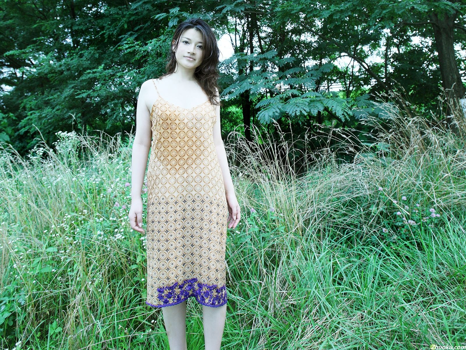 島崎和歌子 美女壁紙 #3 - 1600x1200