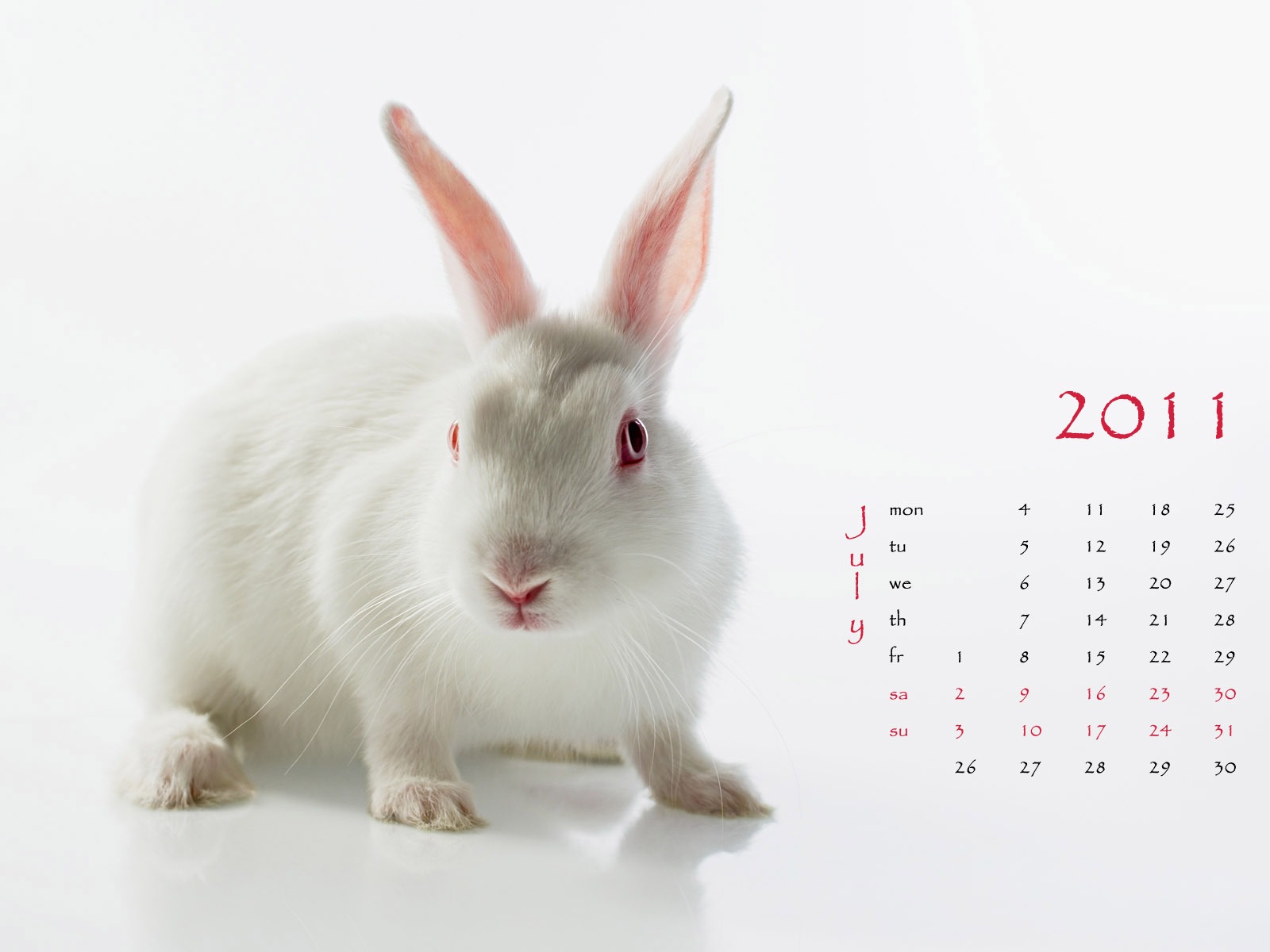 Year of the Rabbit 2011 calendar wallpaper (1) #7 - 1600x1200