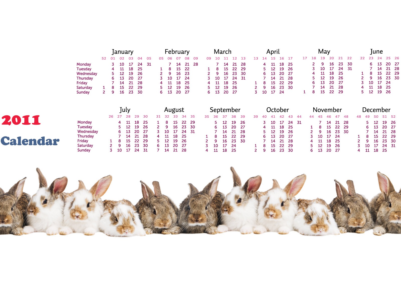 2011兔年日曆 壁紙(一) #15 - 1600x1200