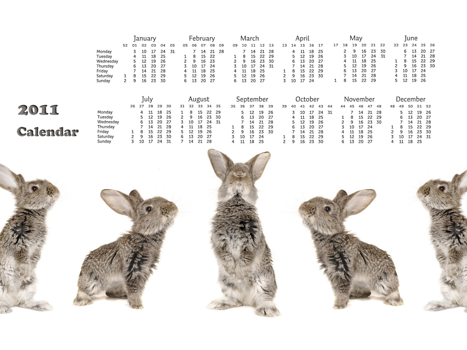 Year of the Rabbit 2011 calendar wallpaper (1) #18 - 1600x1200