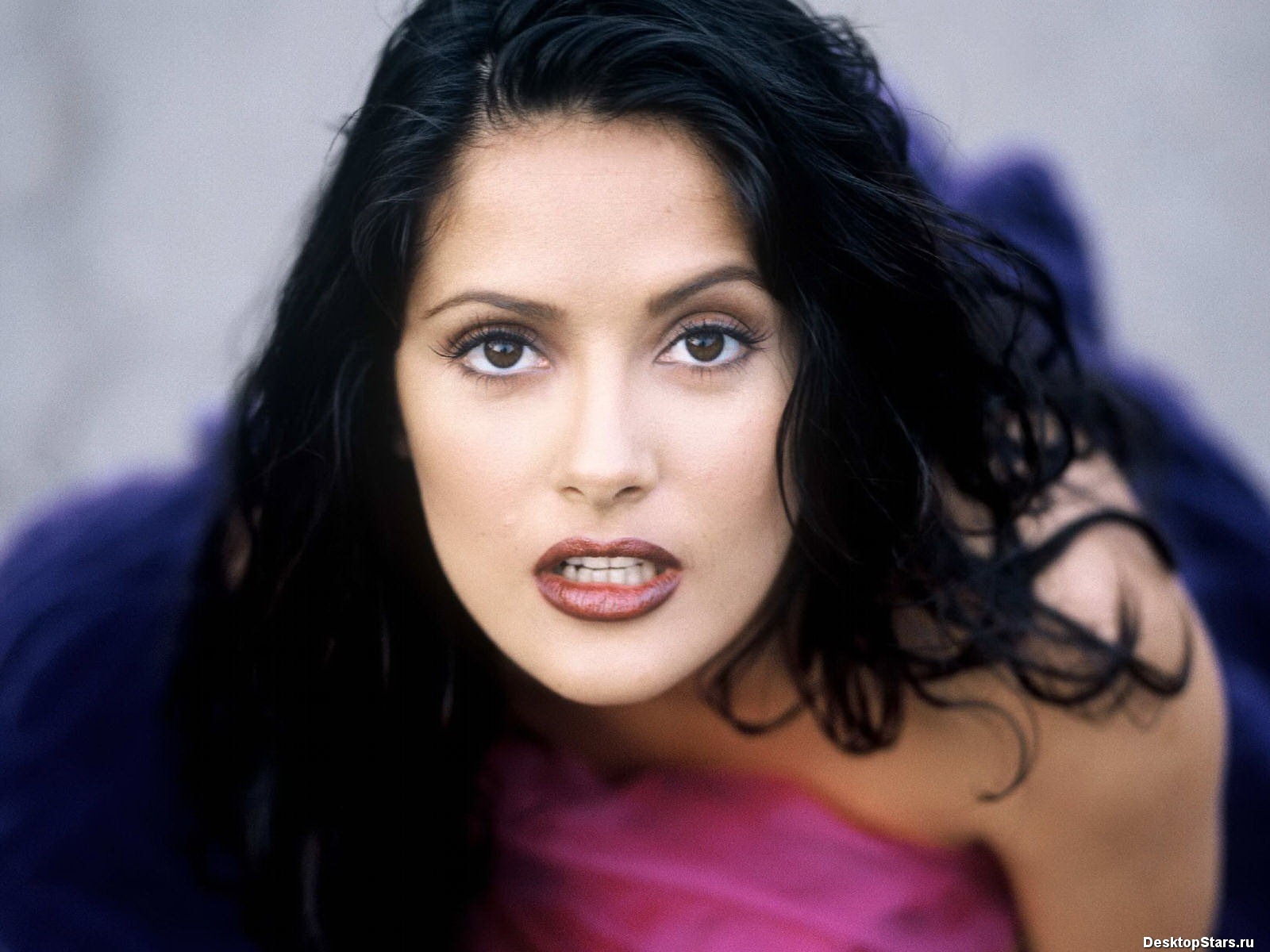 Salma Hayek beau fond d'écran (1) #9 - 1600x1200