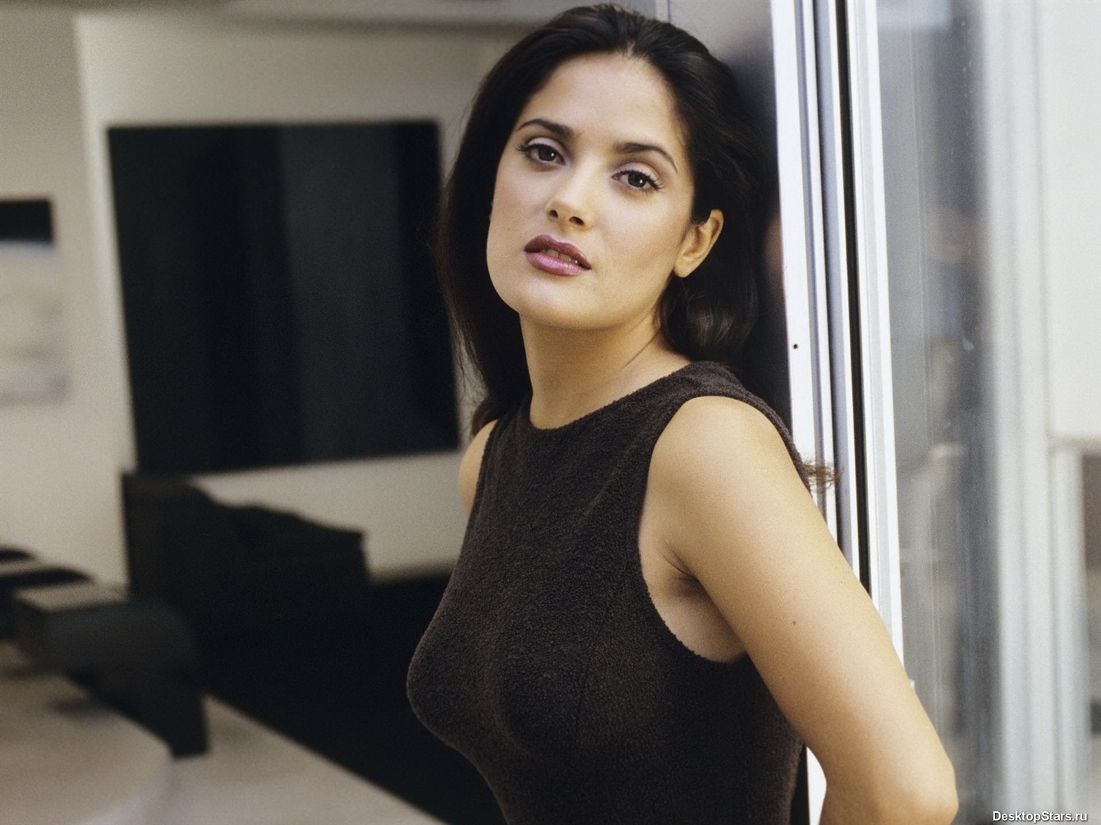 Salma Hayek krásnou tapetu (2) #33 - 1600x1200