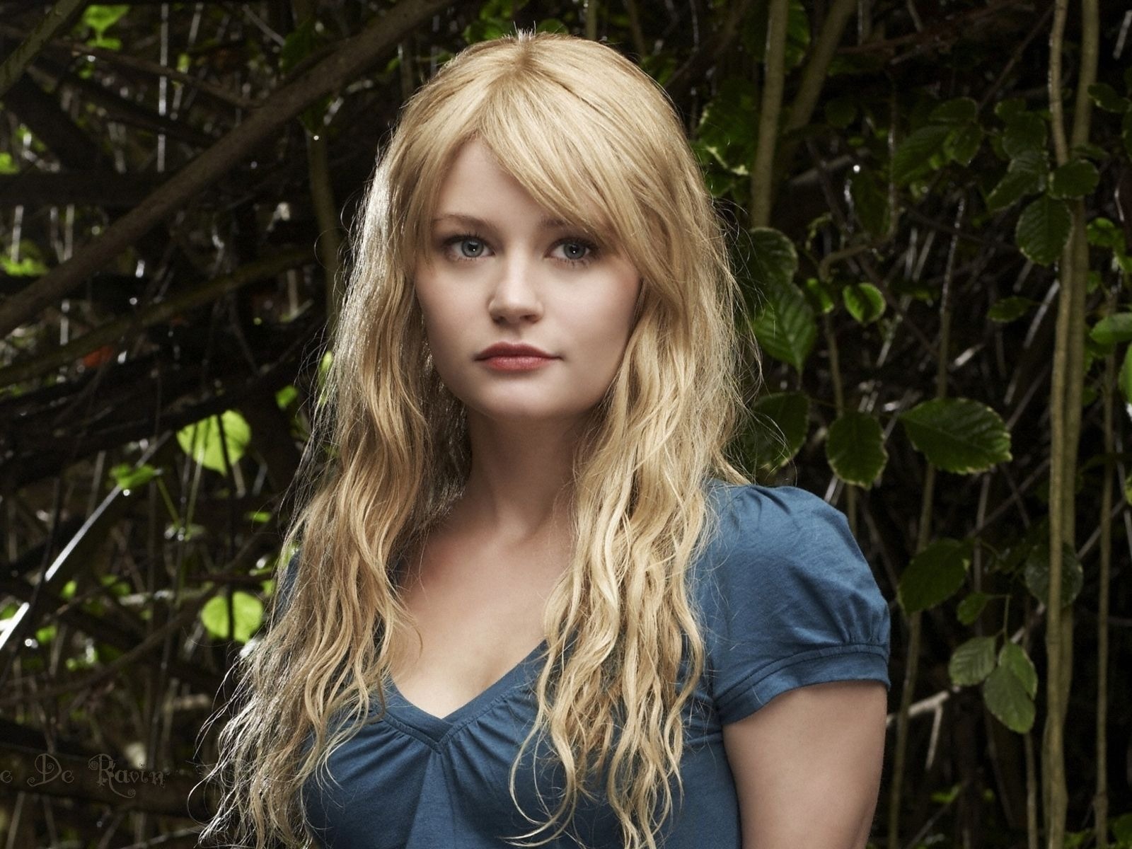 Emilie de Ravin krásnou tapetu #1 - 1600x1200