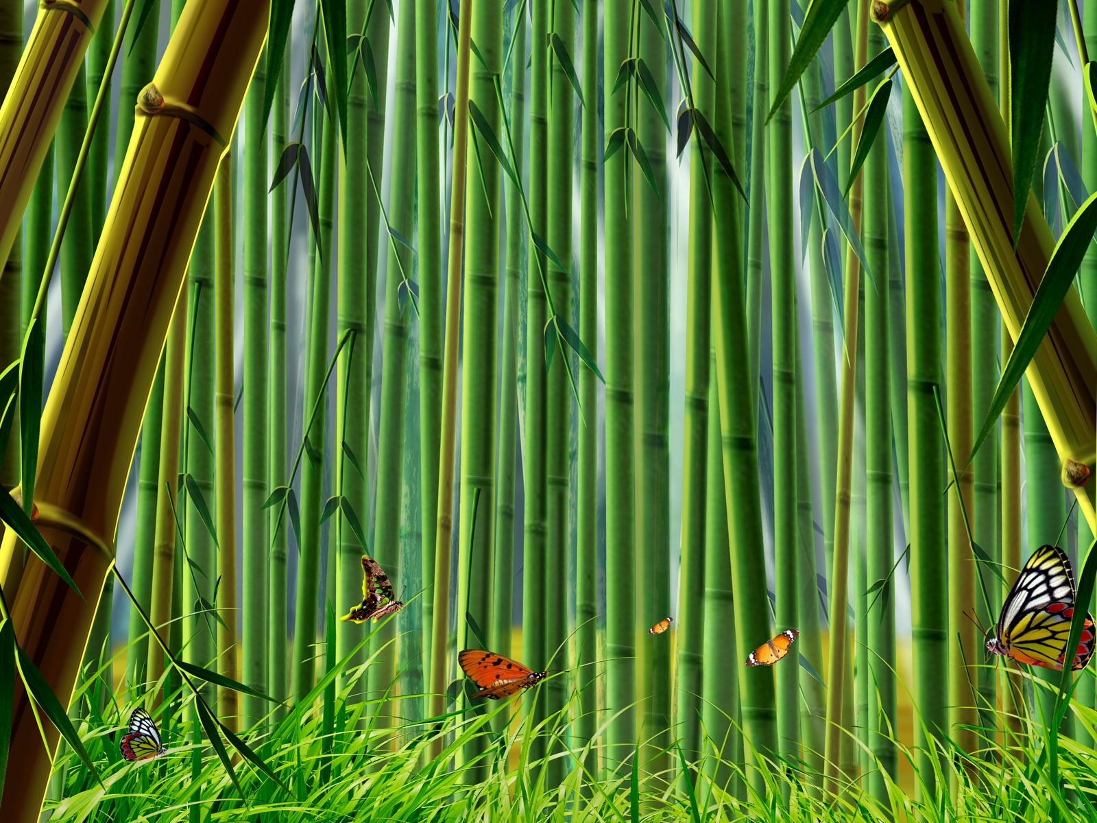手繪炫彩生態風光 壁紙(一) #3 - 1600x1200