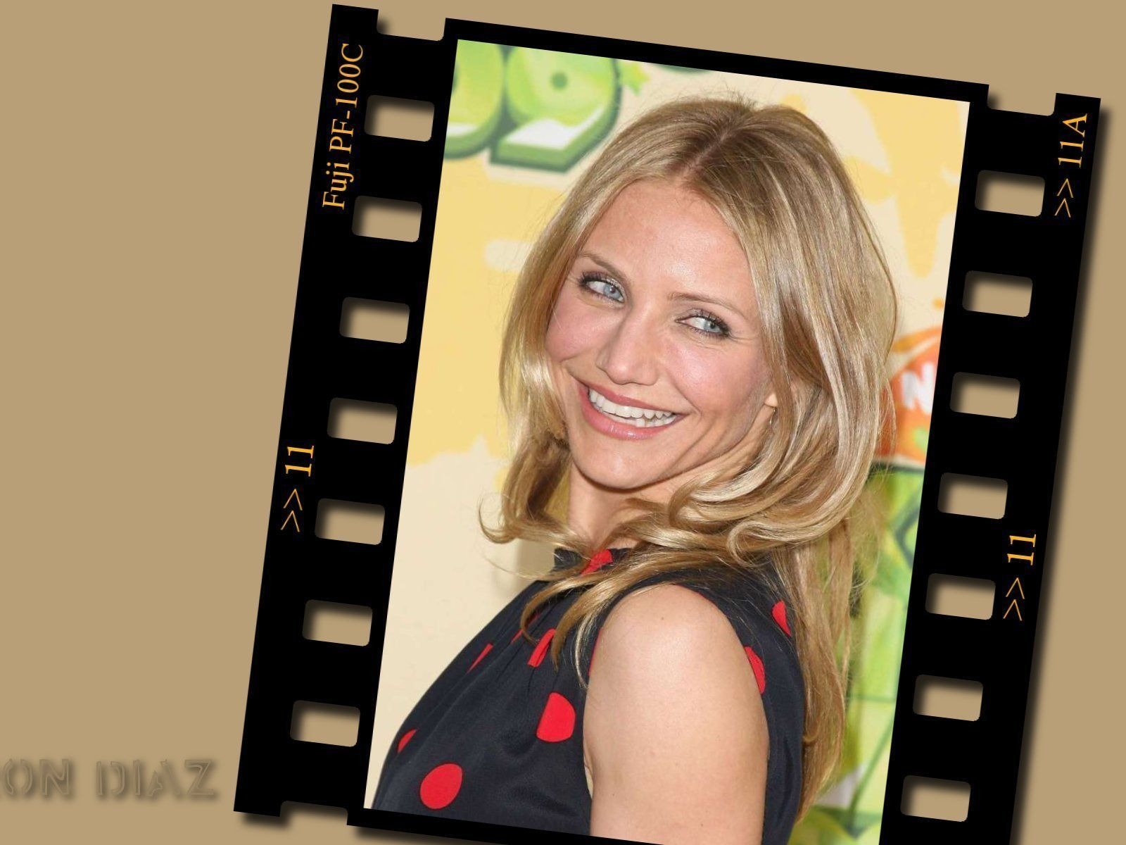 Cameron Diaz 卡梅隆·迪亞茲 美女壁紙(二) #3 - 1600x1200