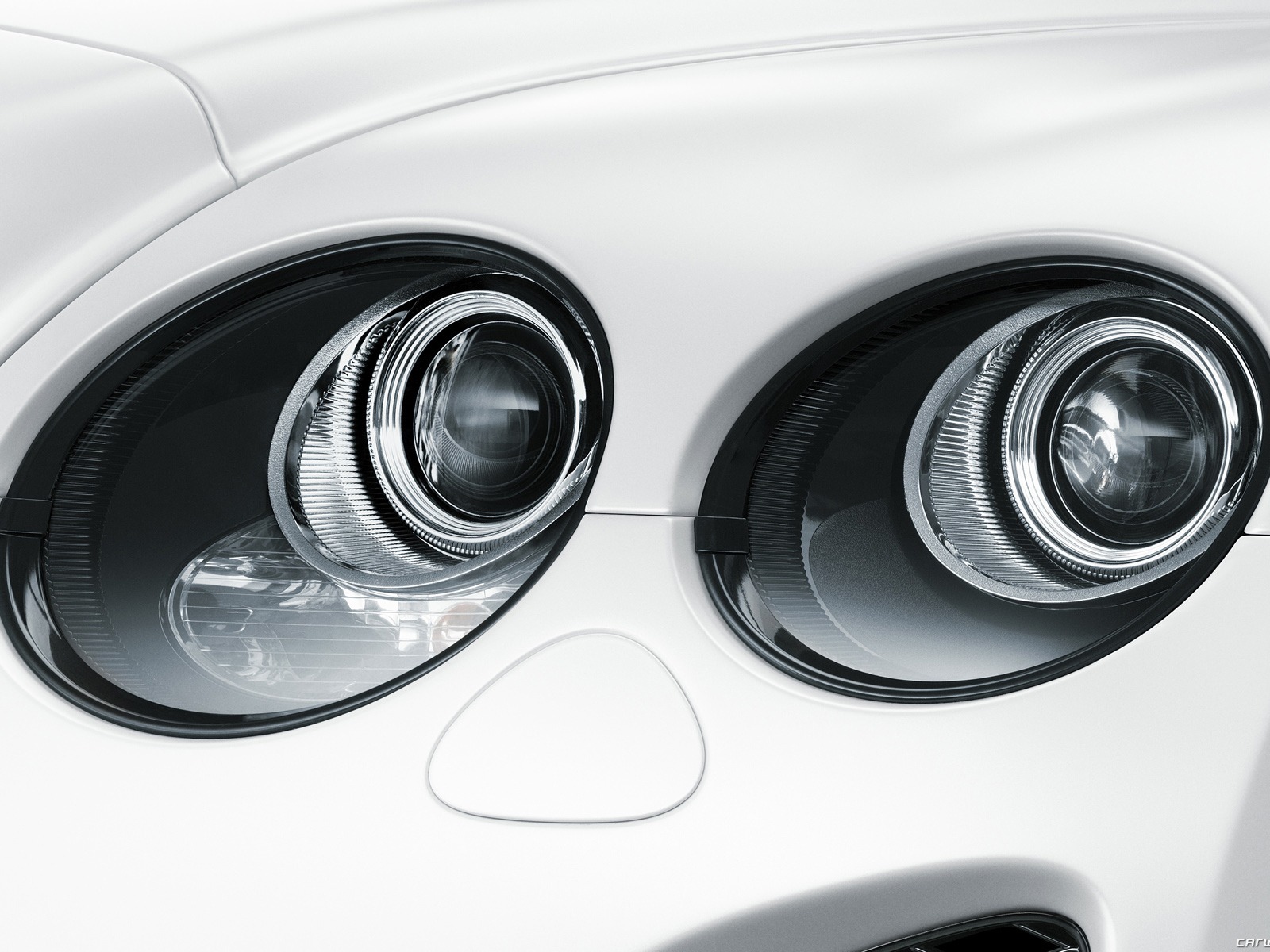 Bentley Continental Supersports Convertible - 2010 賓利 #58 - 1600x1200