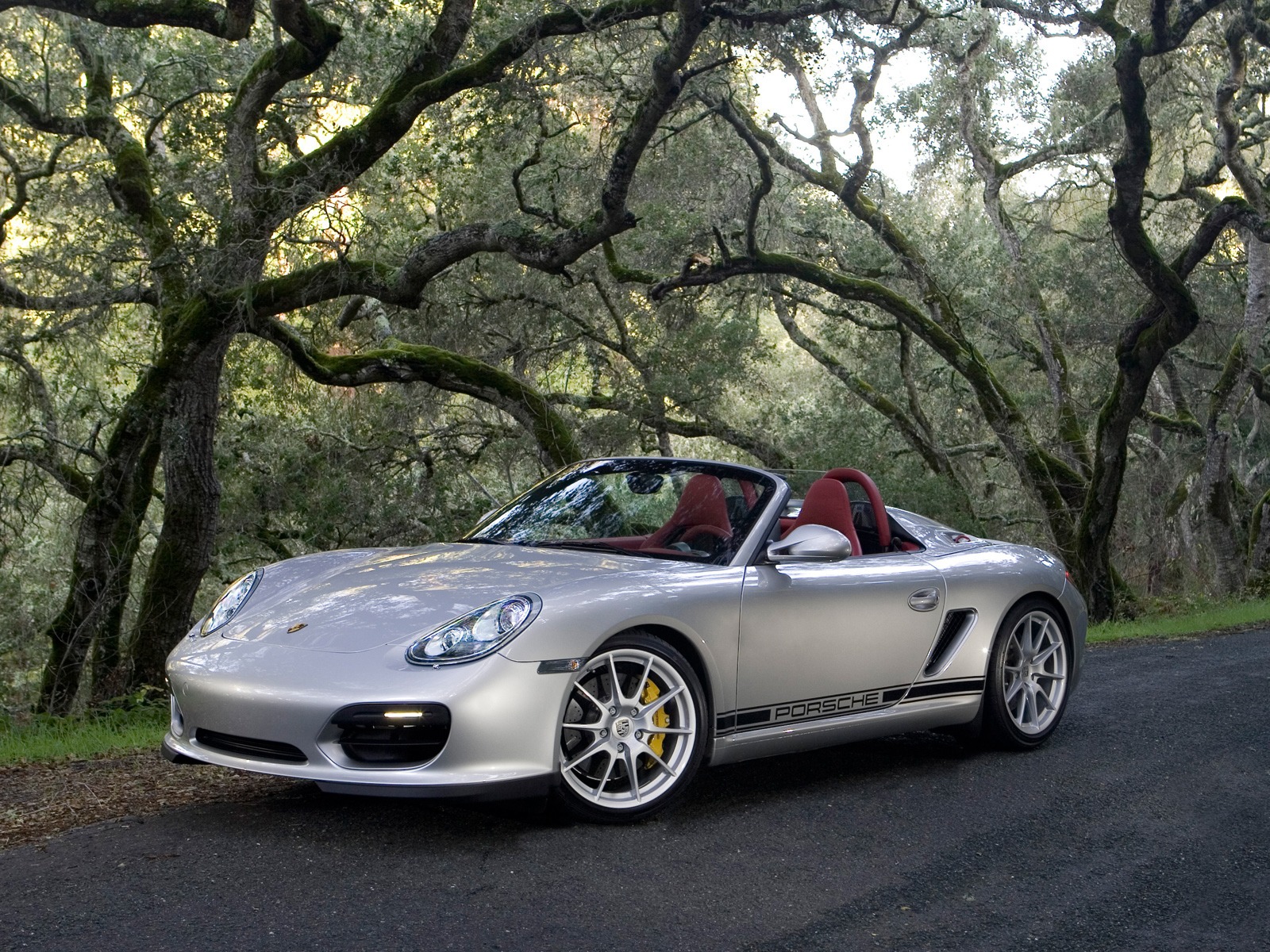 Porsche Boxster Spyder - 2010 HD tapetu #36 - 1600x1200