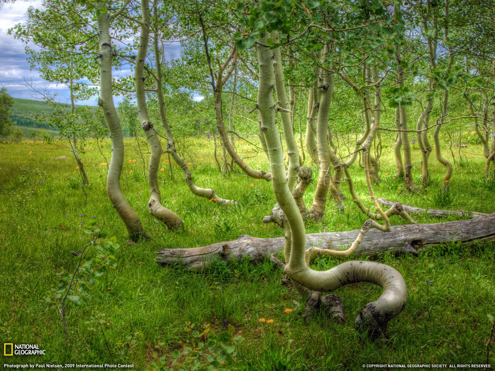 Wallpaper World geographical scenery Posts (8) #19 - 1600x1200