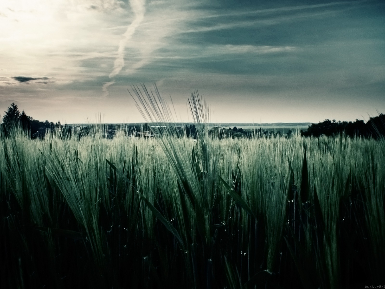 暗色調 風景壁紙(二) #5 - 1600x1200