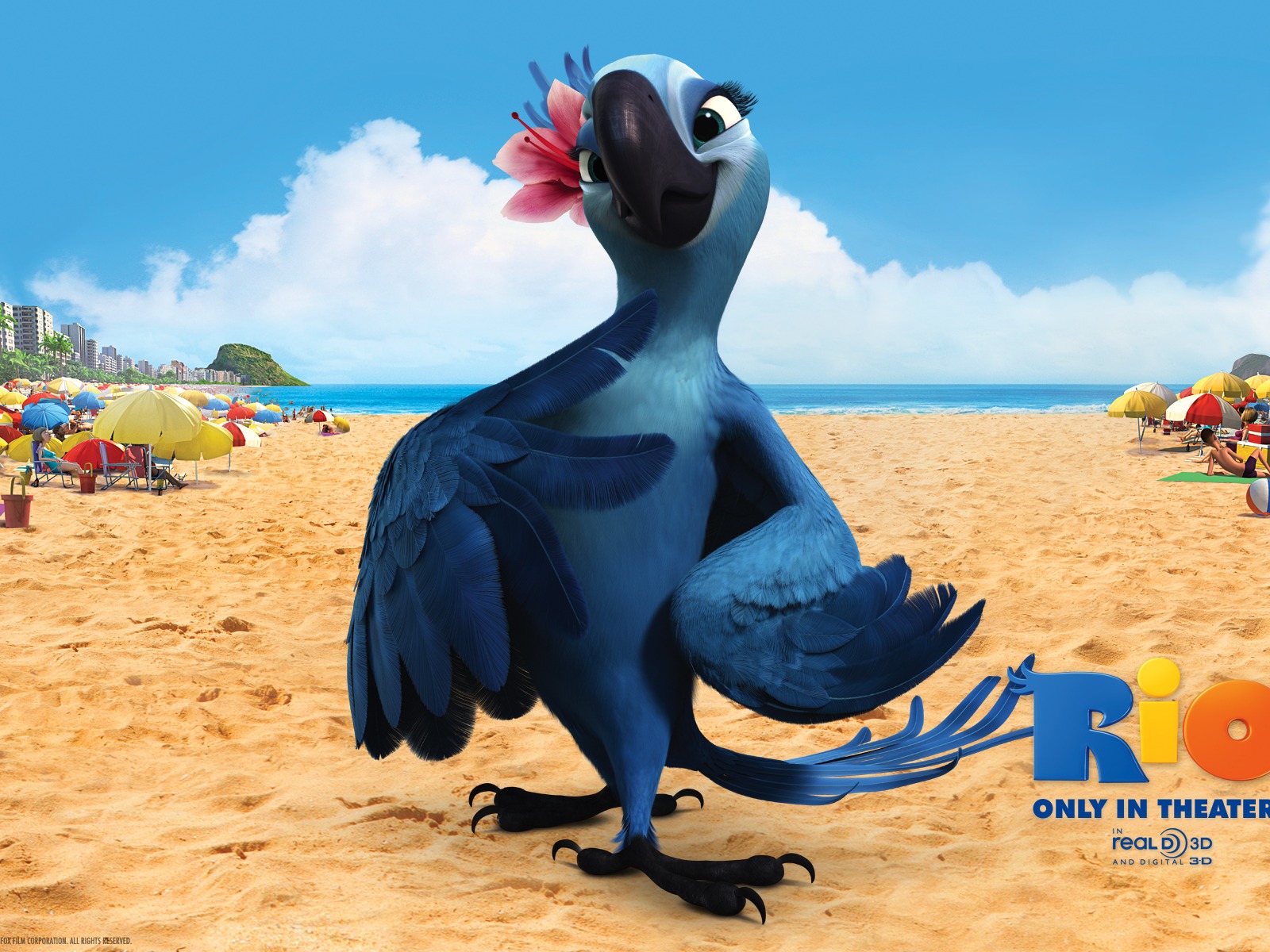 Rio 2011 里约大冒险 壁纸专辑5 - 1600x1200