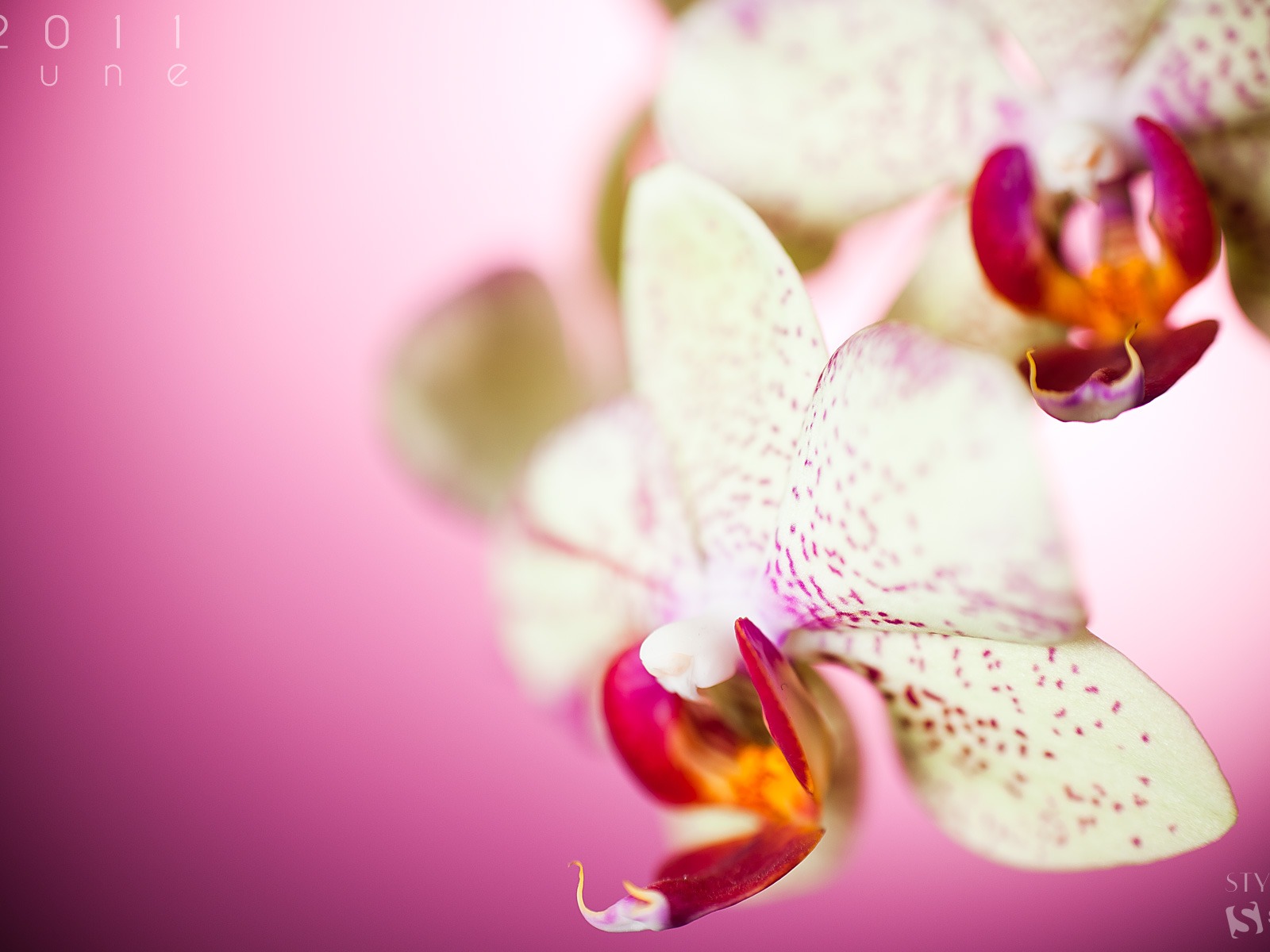 2011年6月 月曆壁紙(二) #3 - 1600x1200